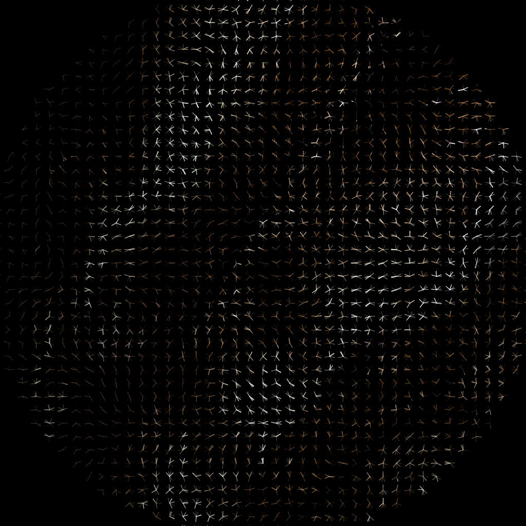 lumiforms_681_seed1165956781_render.png