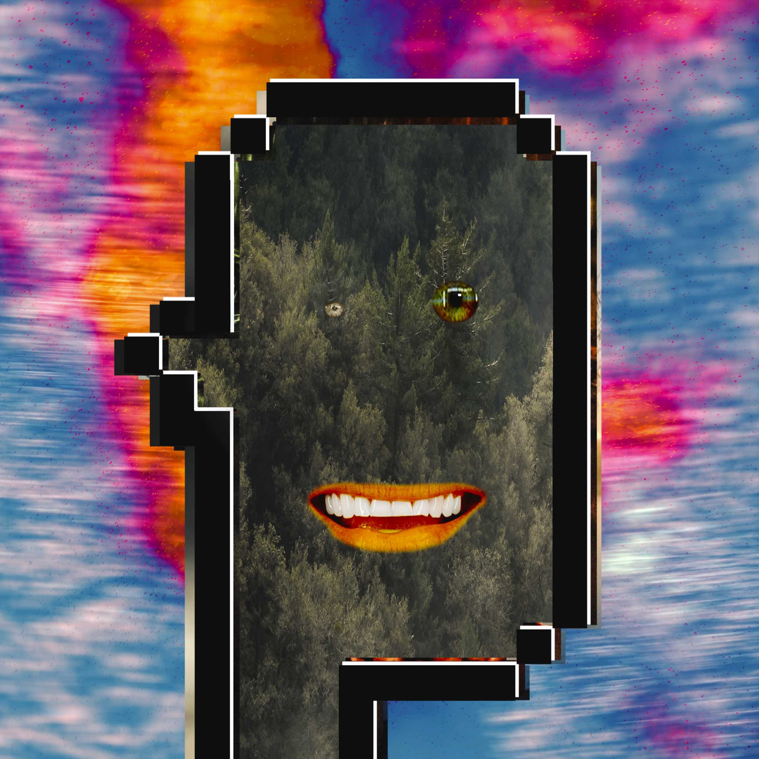 6 - The Vigilant.jpg