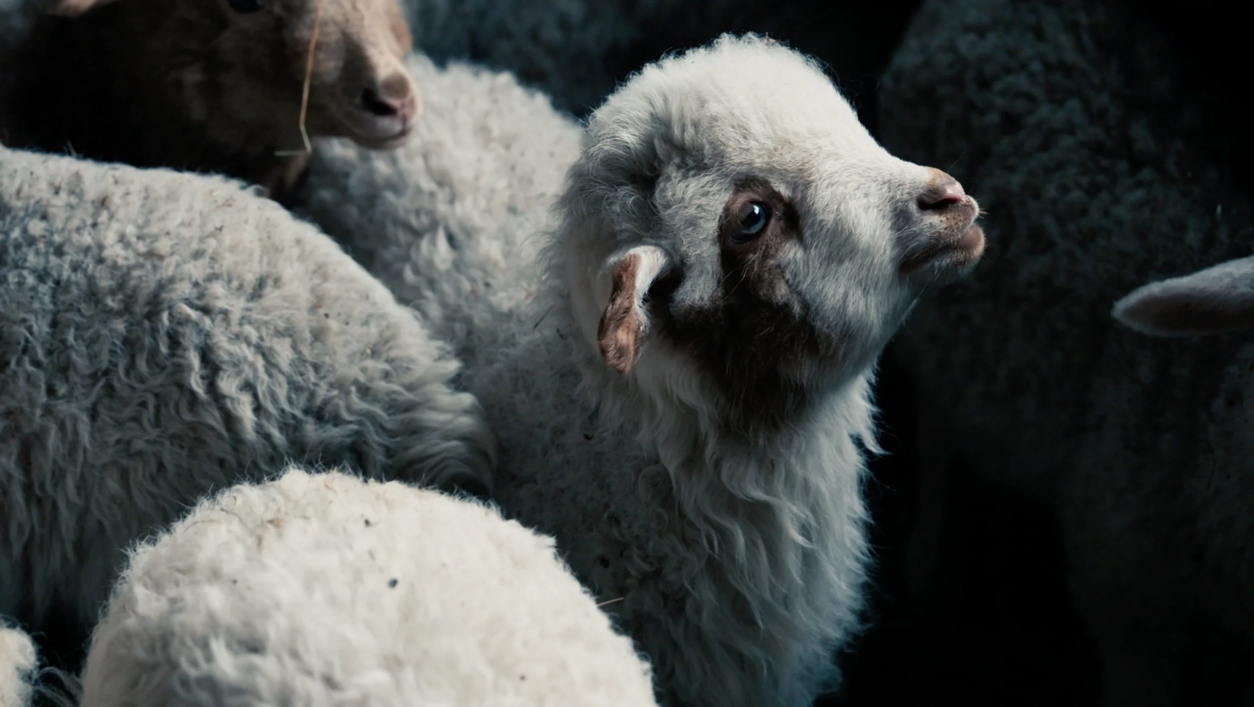 Placekeepers 2_web.jpg