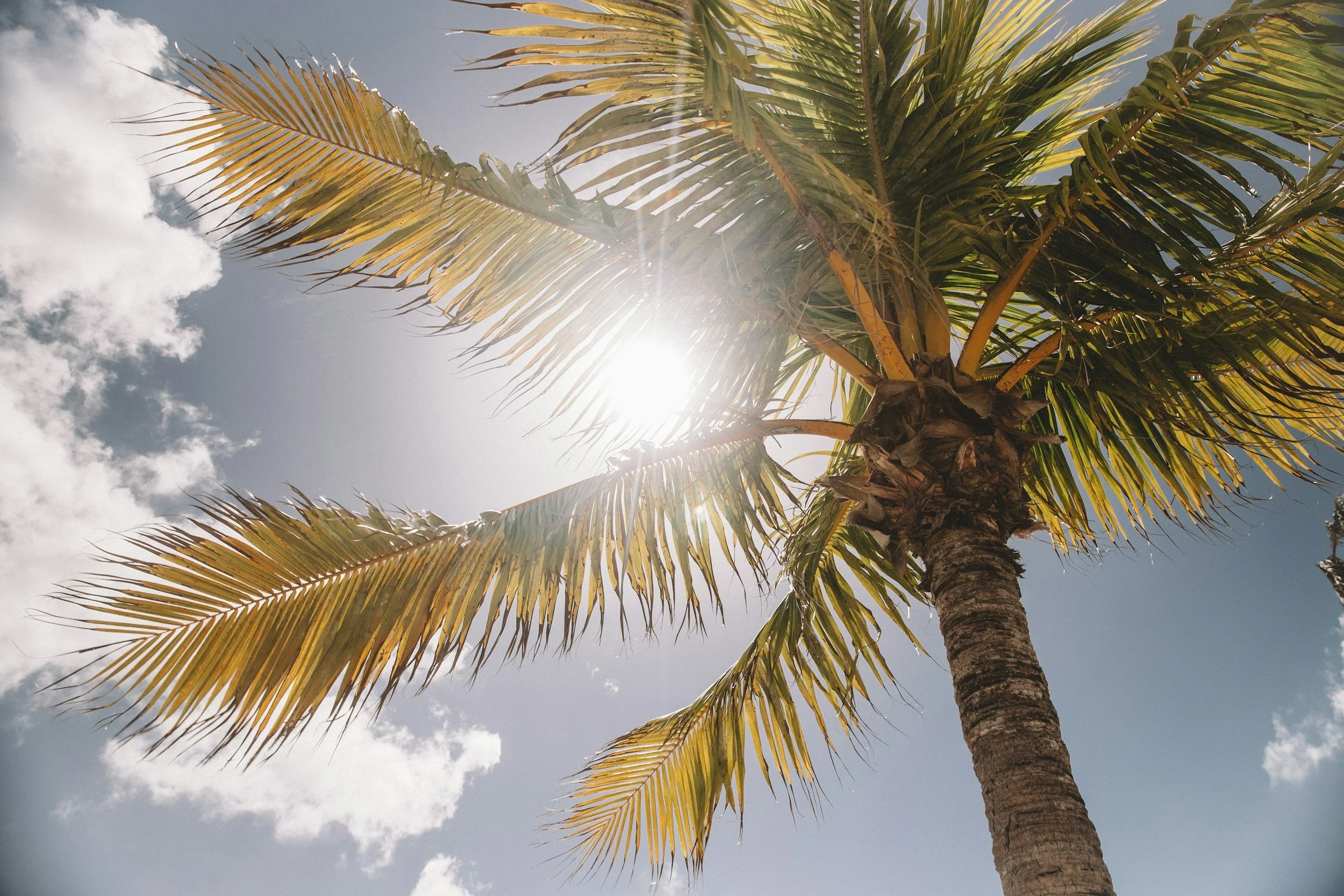 Are You Sun Deficient? The Silent Epidemic No One is Talking About