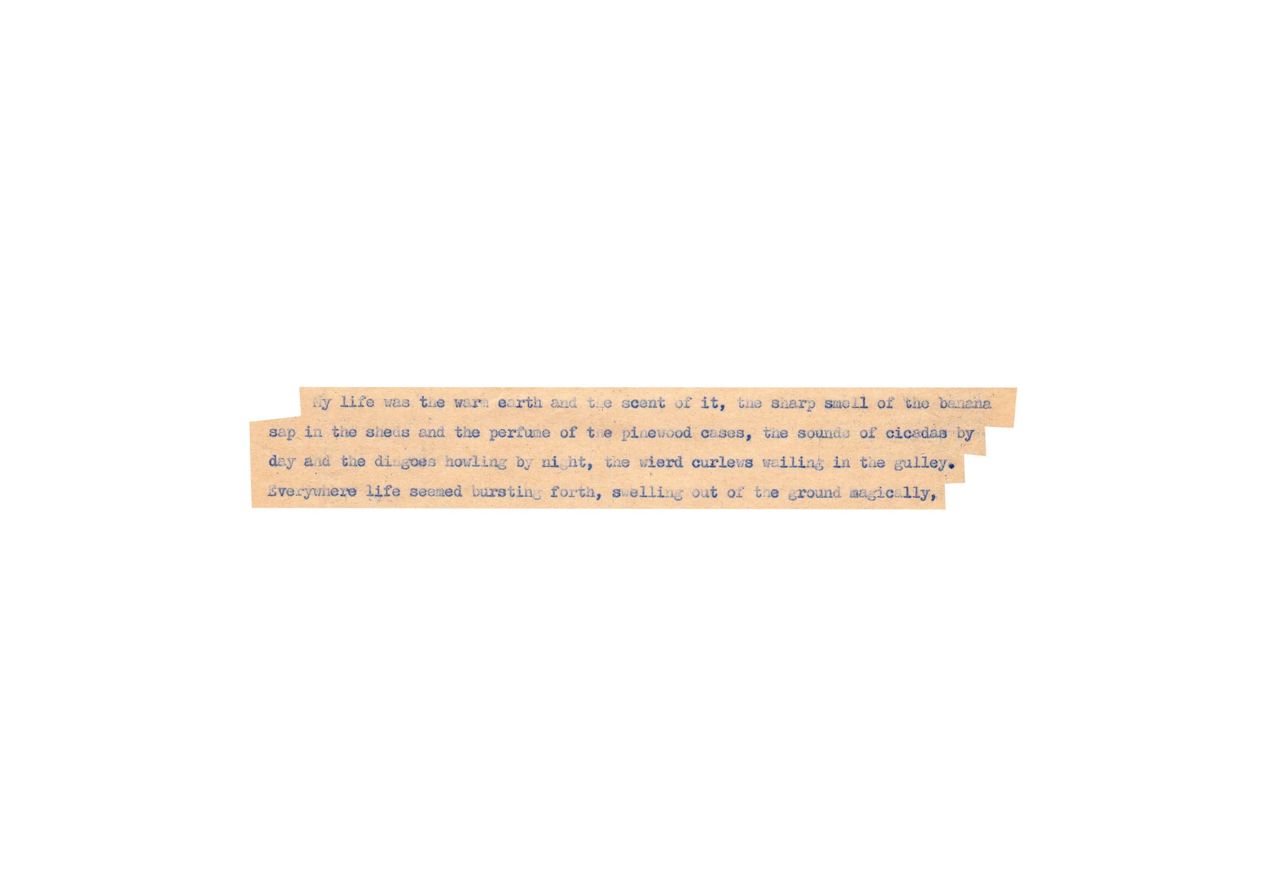 WilPolson_book_web40.jpg