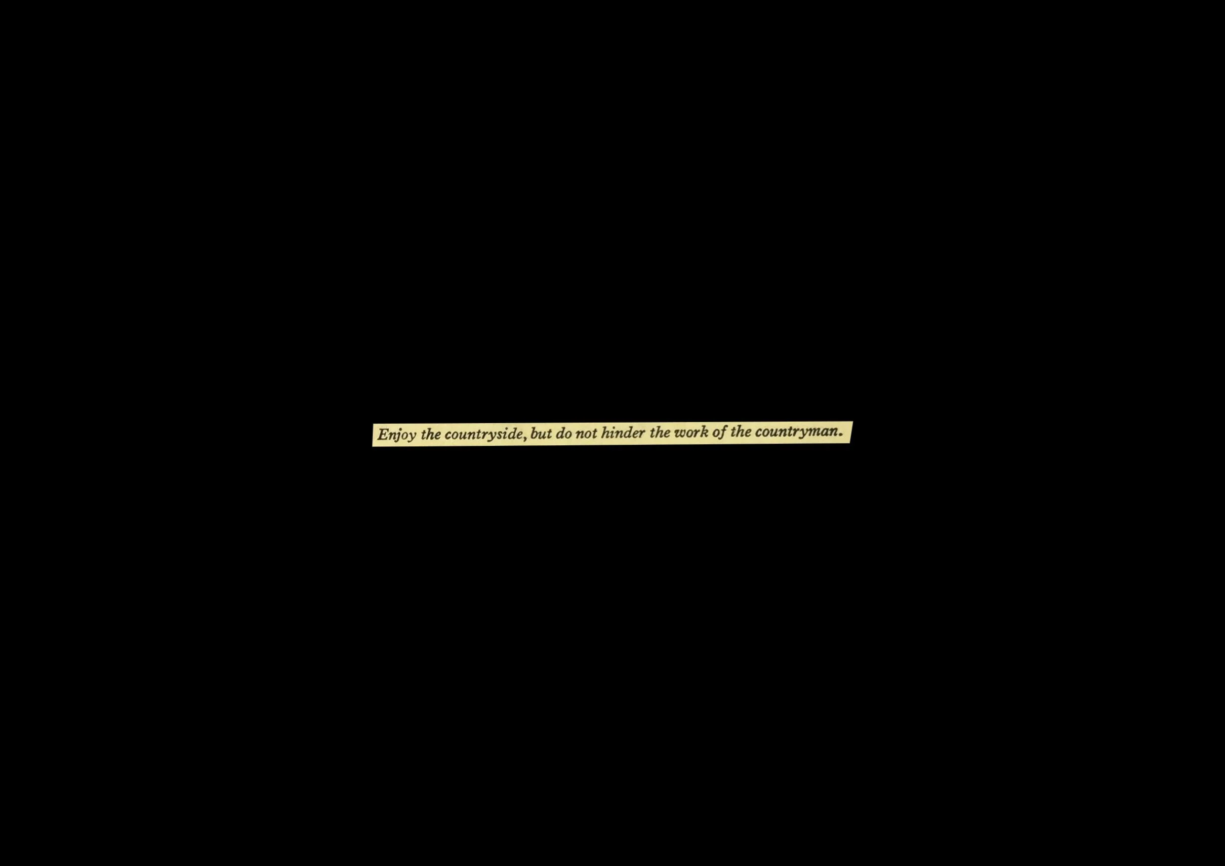 WilPolson_book_web51.jpg