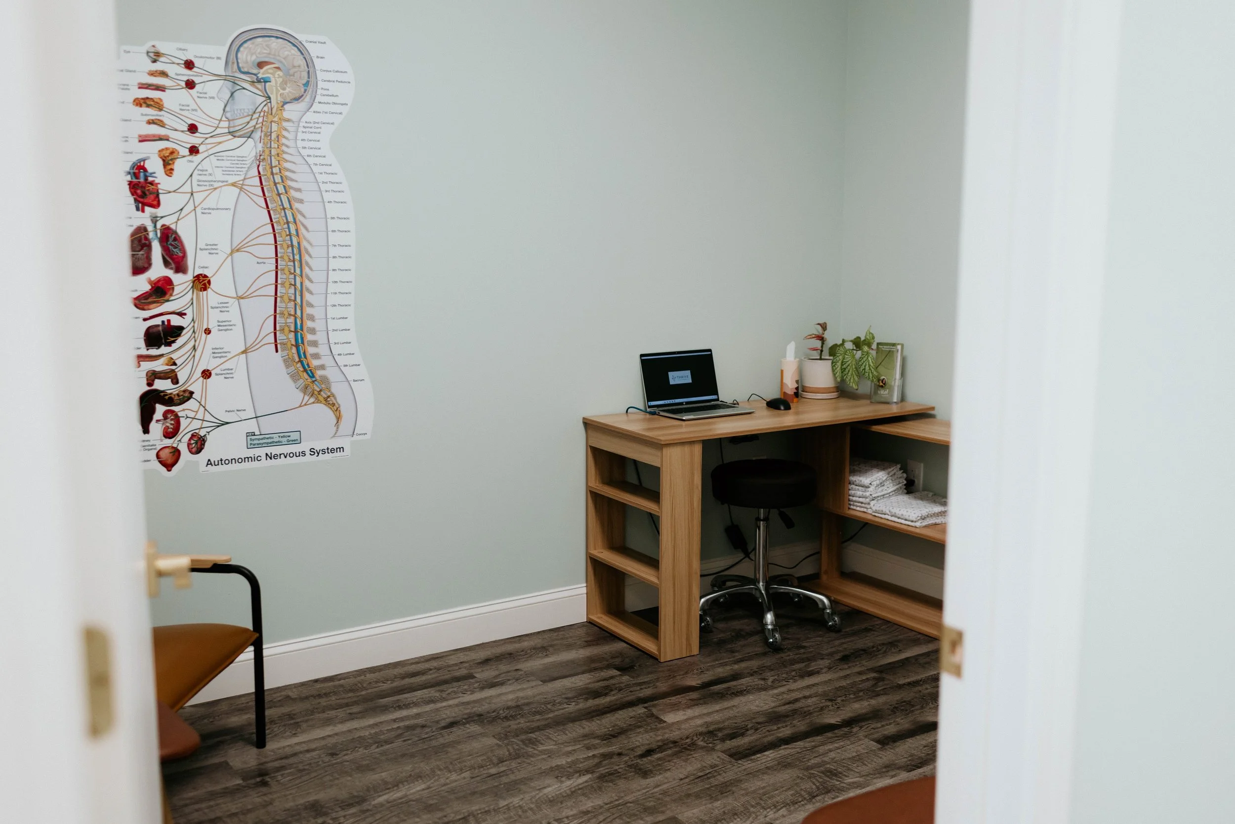 Chiropractic consultation room with autonomic nervous system chart at Thrive Family Chiropractic in Montgomery AL