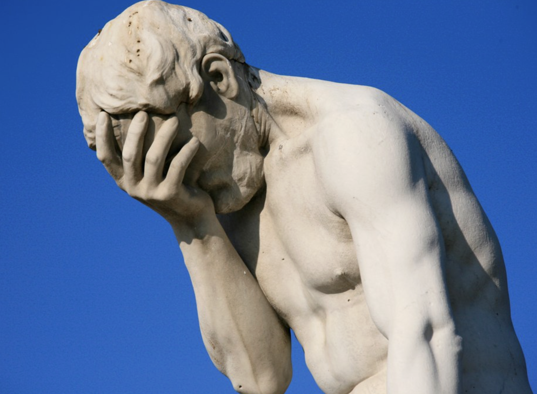  Spring Landscaping Mistakes Sonoma County Homeowners Make And How to Avoid Them