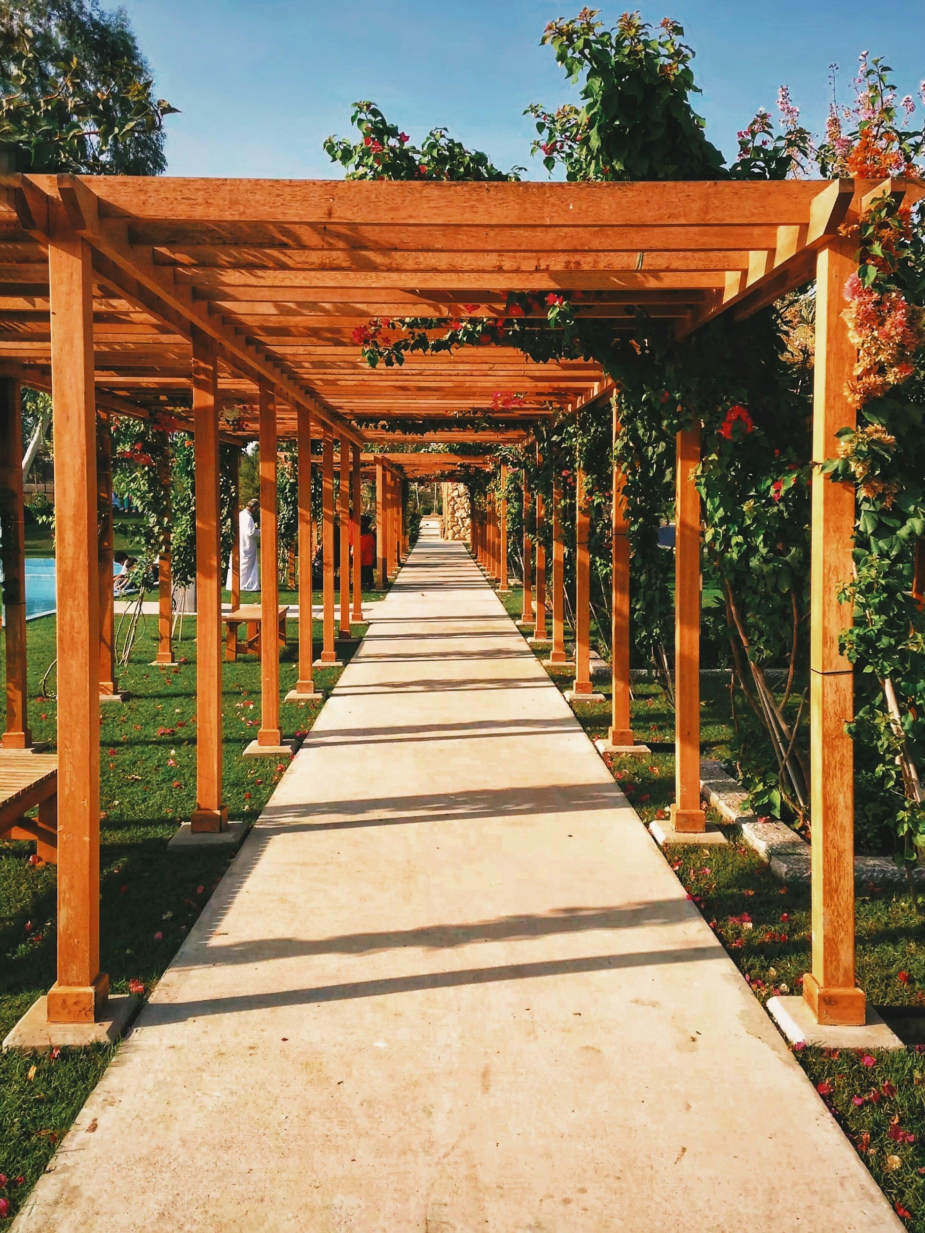 A concrete walkway under a wooden pergola with climbing plants and colorful flowers, with green grass on either side, in a sunny outdoor setting.