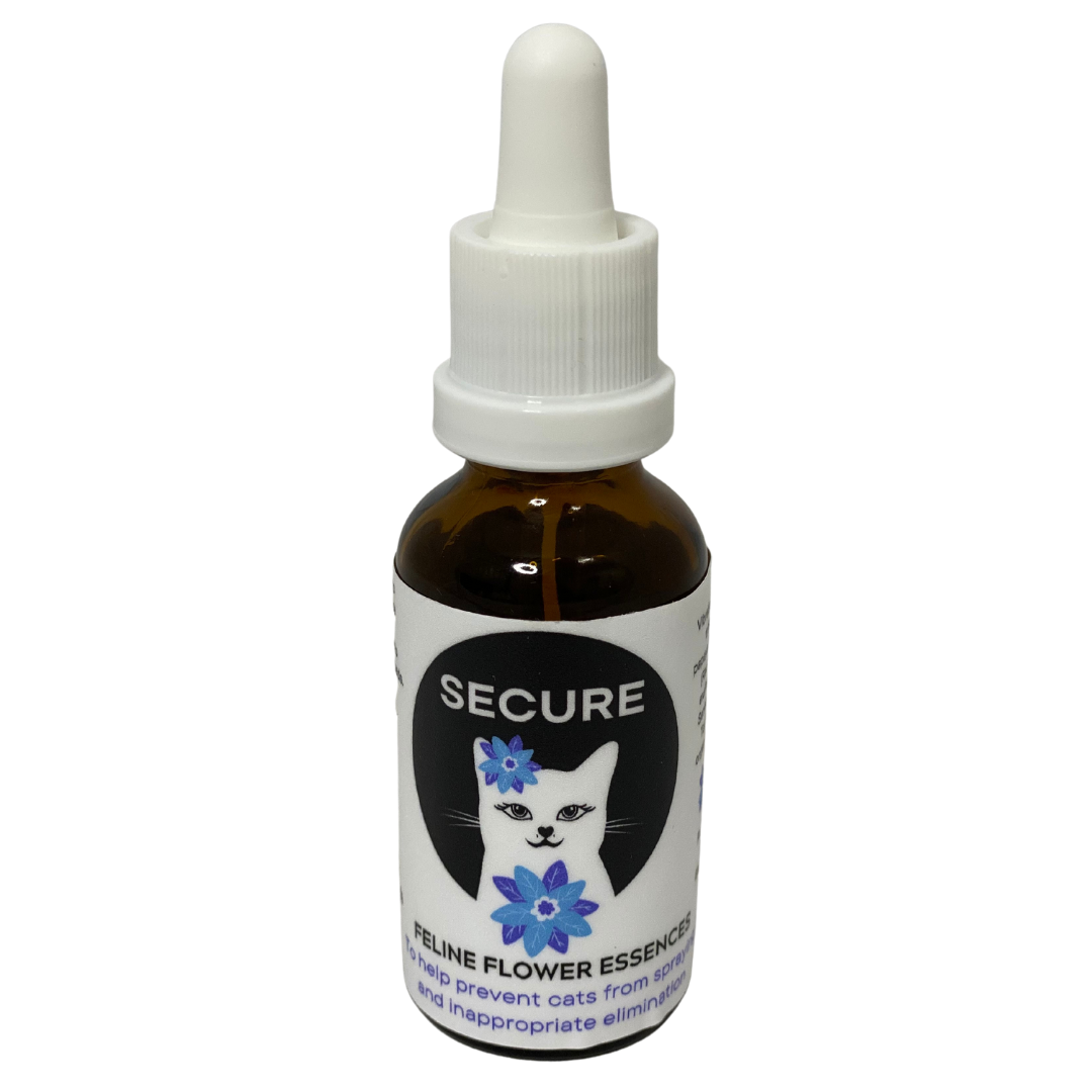 Photo inspiration: Coral Essence Toxicity In Cats Reference: Aussie Cat Lady