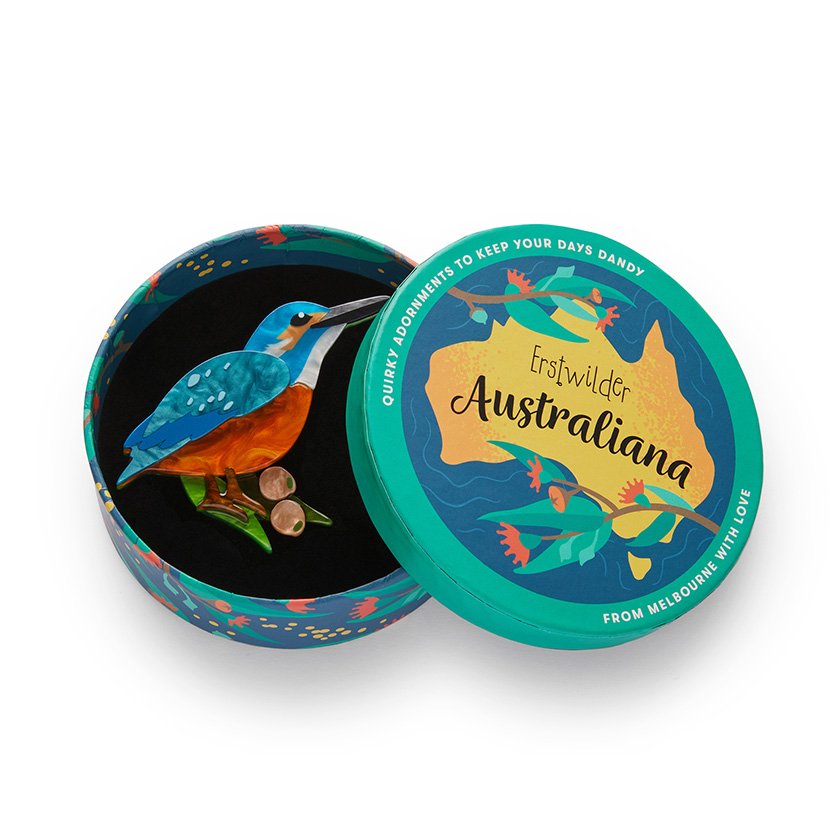 BHCN109 Flash the Kingfisher Brooch-3.jpg