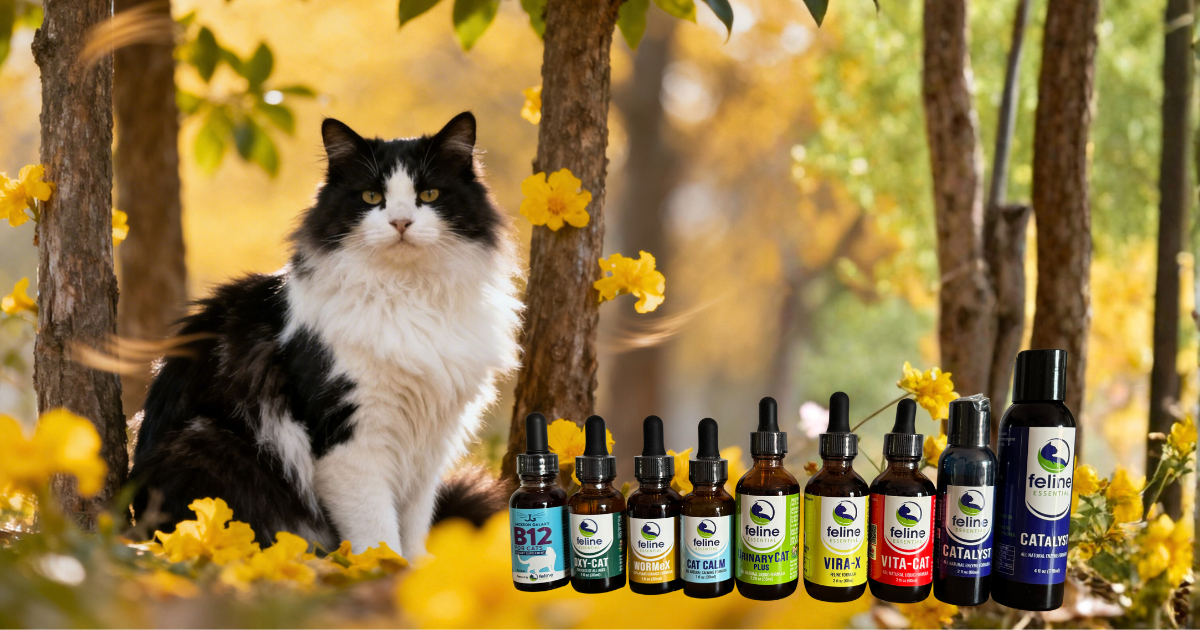 Digestive health — Aussie Cat Lady