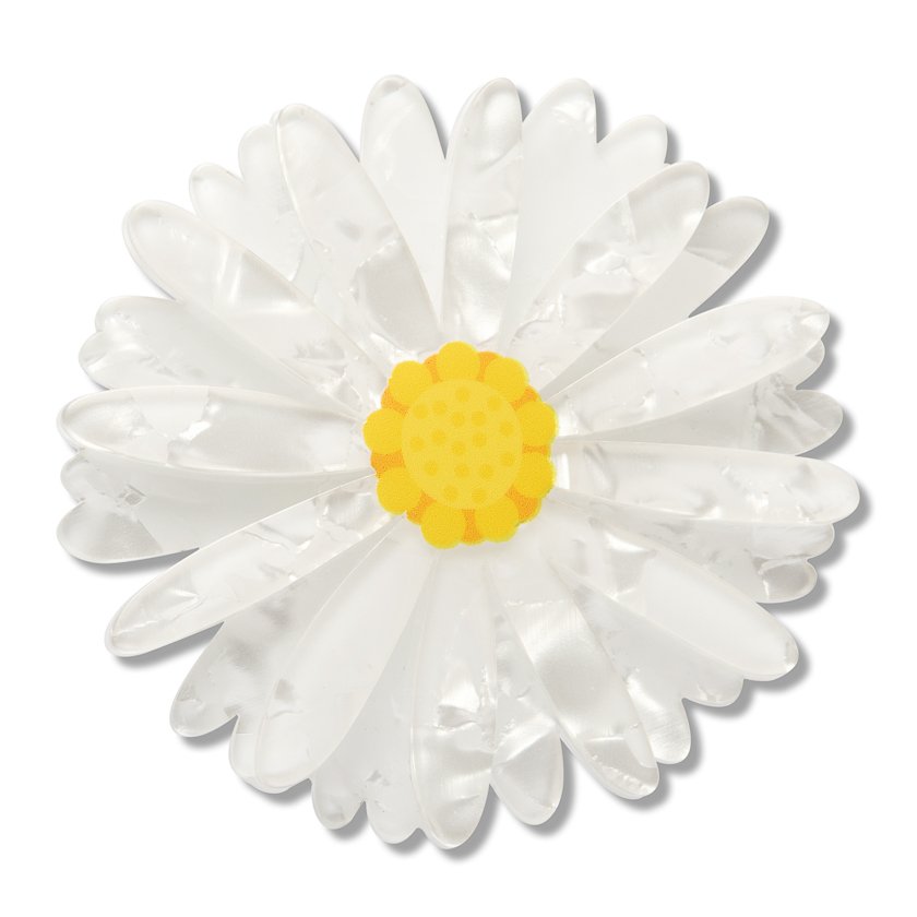 Cut-leaf Daisy Large Hair Clip