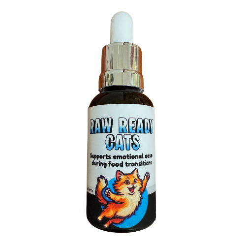 Raw Ready Cats Transition All-in-One Flower essence (30mls/1 fl.oz)