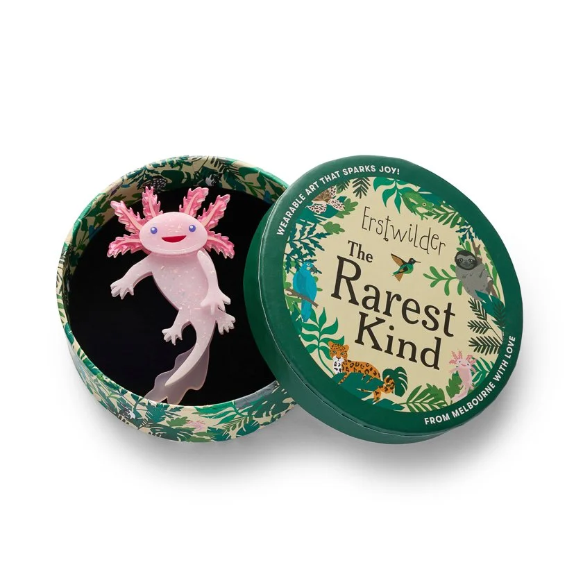 BHDY104 Axolotl Brooch-3.JPG