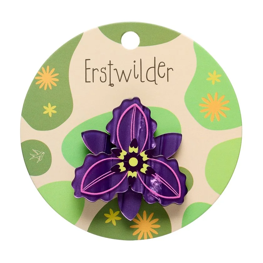 Cut-leaf Daisy Simplified Mini (Copy)
