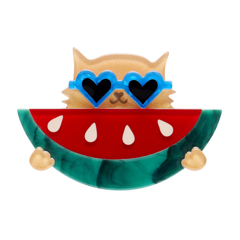 Sunnies & Seeds Brooch