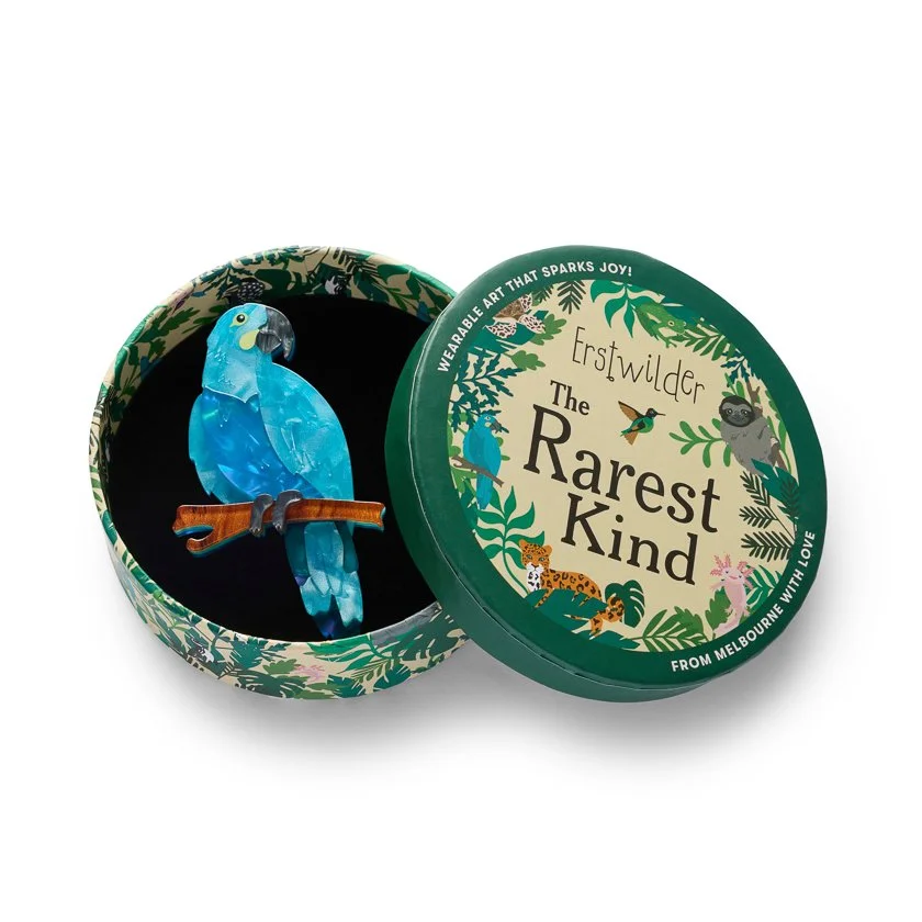 BHDY108 Glaucous Macaw Brooch-3.JPG