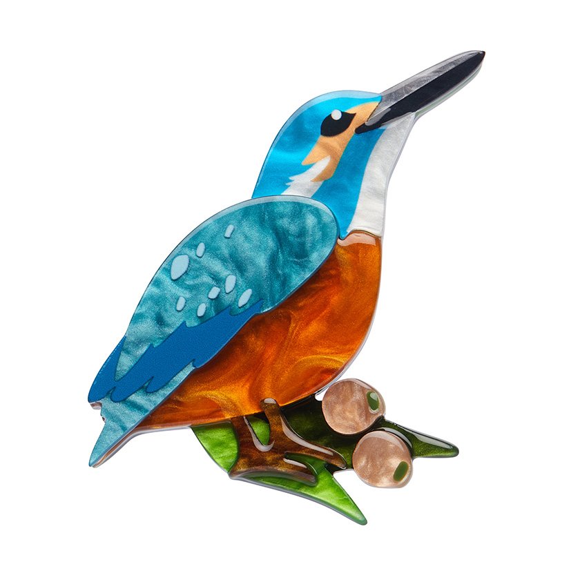 BHCN109 Flash the Kingfisher Brooch-1.jpg
