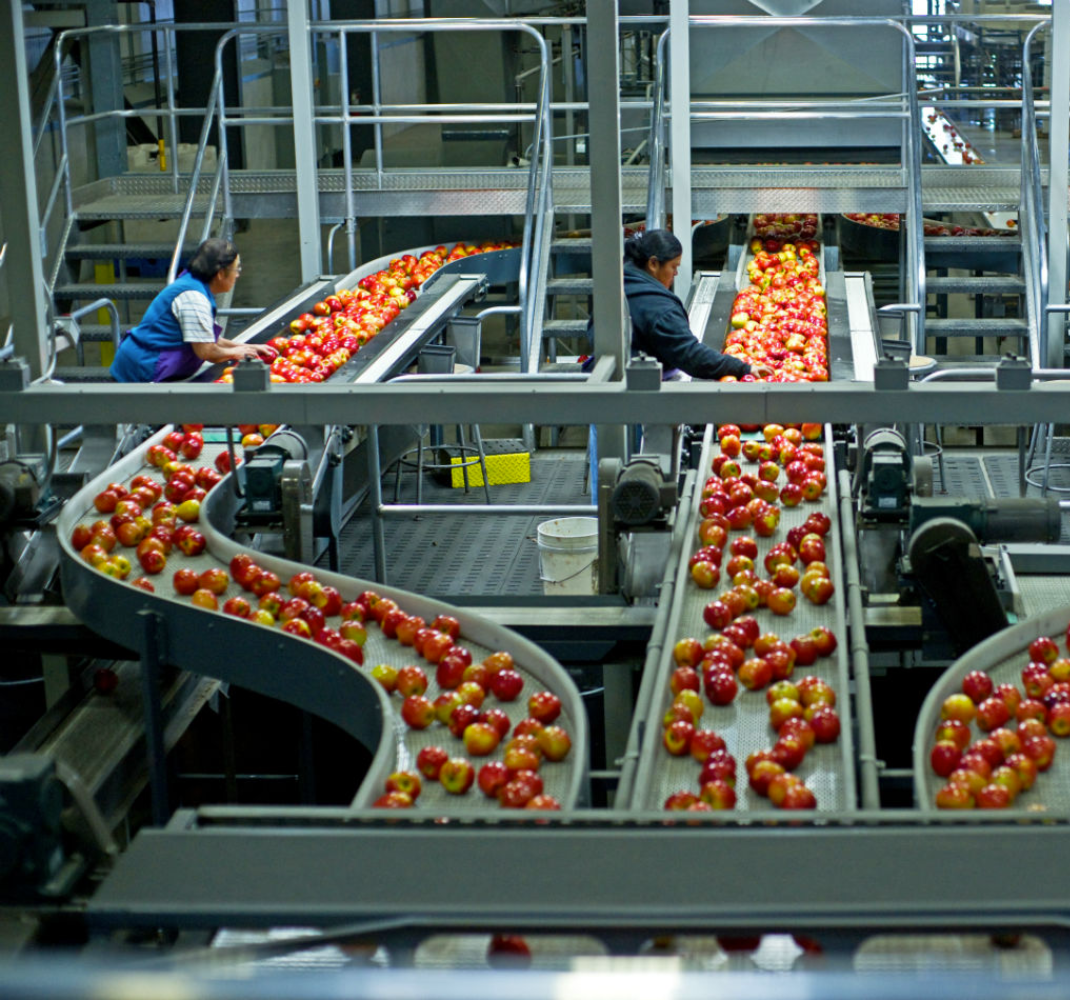apple packing company.png (1).png