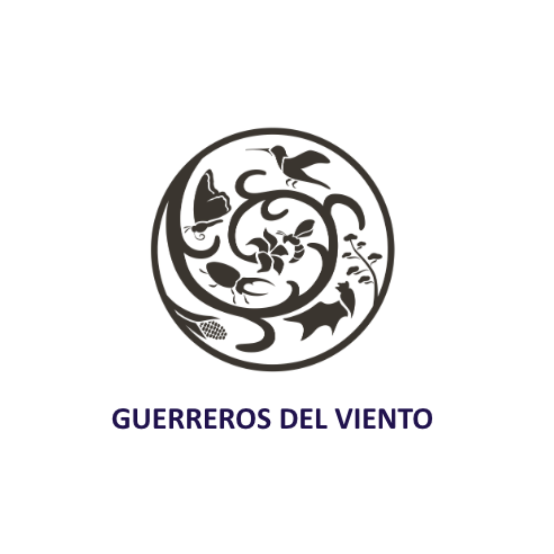 GV LOGO CUADRO.png