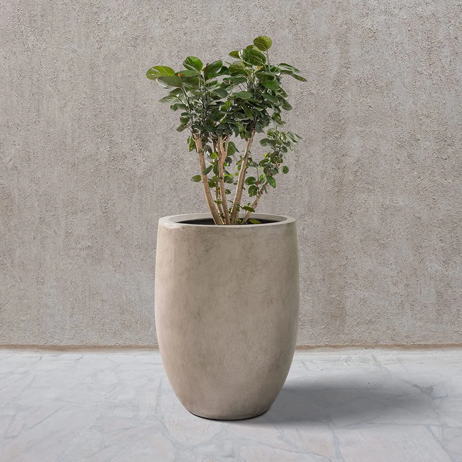 Outdoor Concrete Planter.jpg