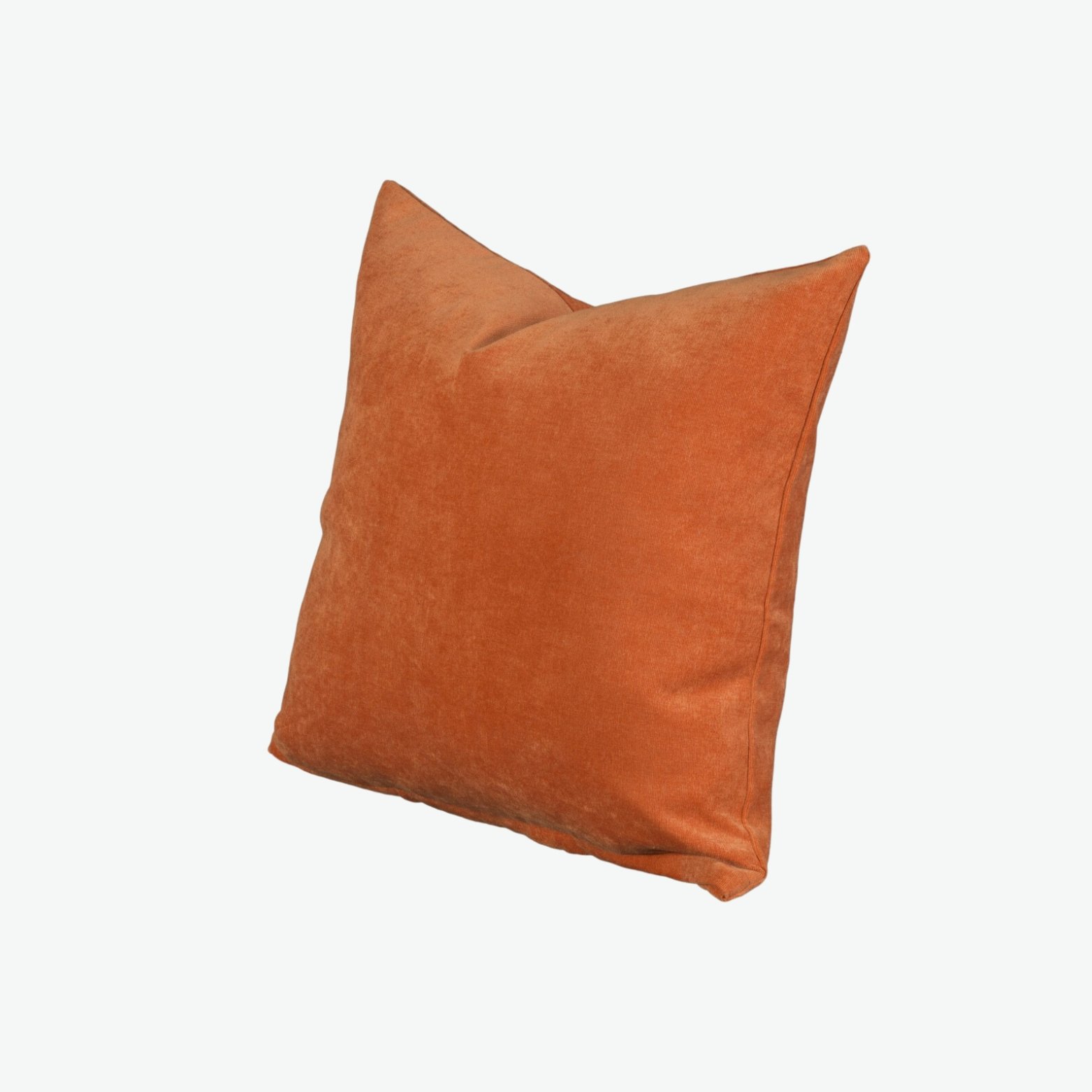 Burnt Orange Throw Pillow.jpg