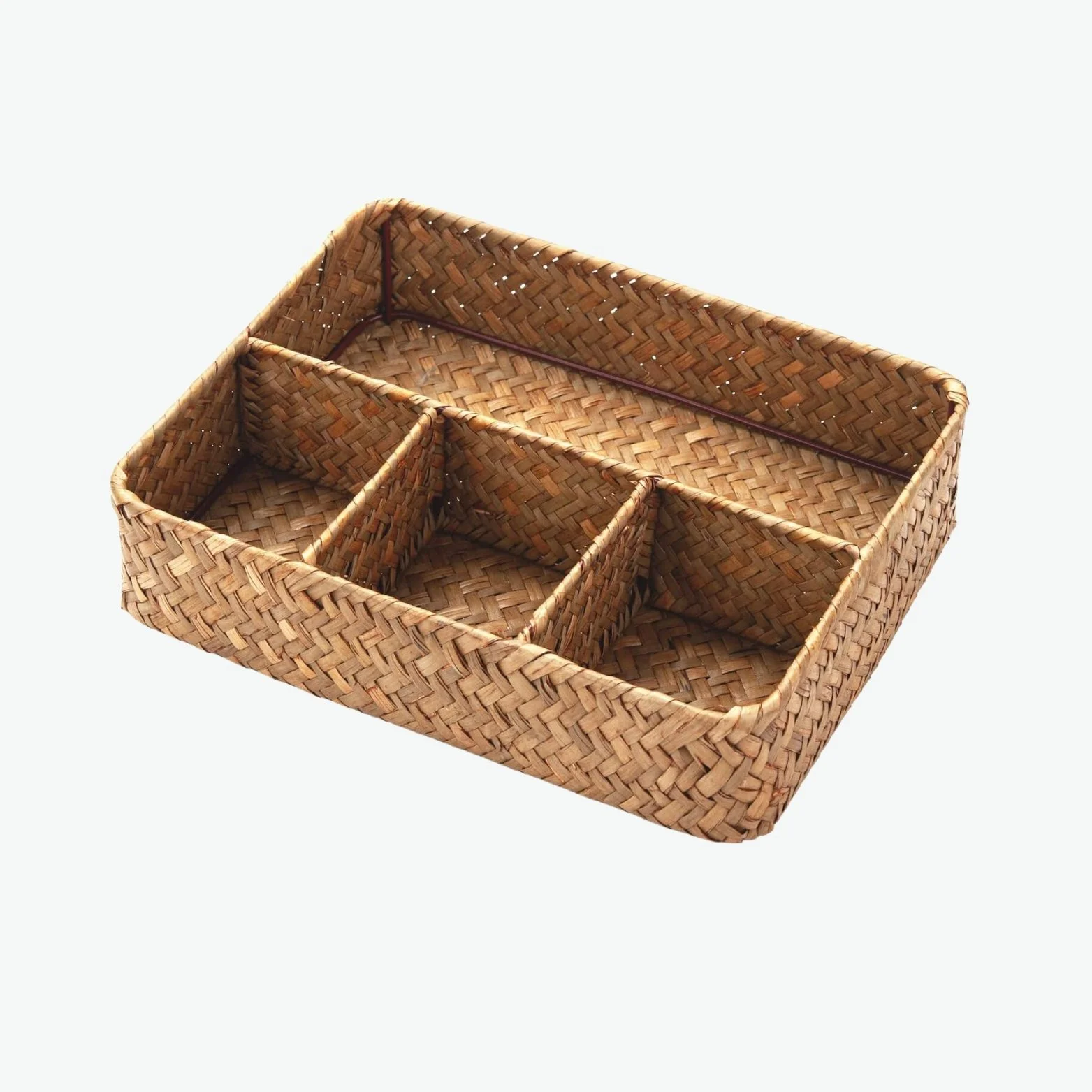 Condiment Organizer Tray.jpg