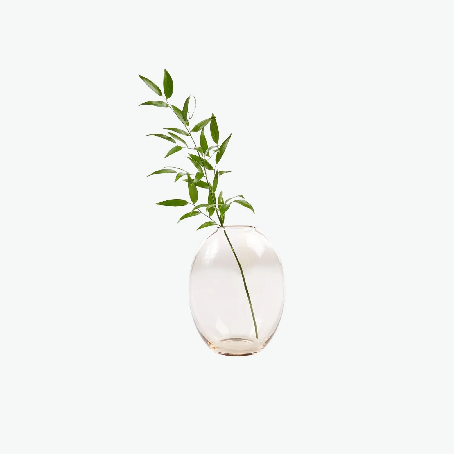 Glass Oblong Vase.jpg