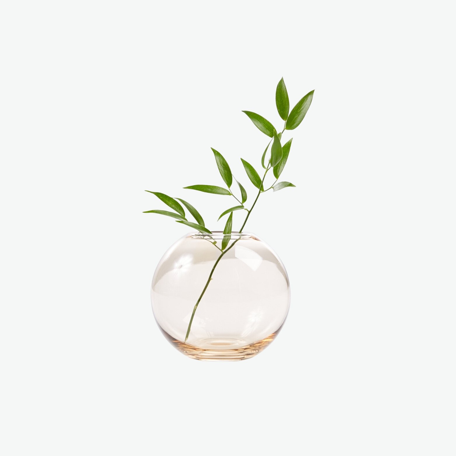 Round Glass Vase.jpg