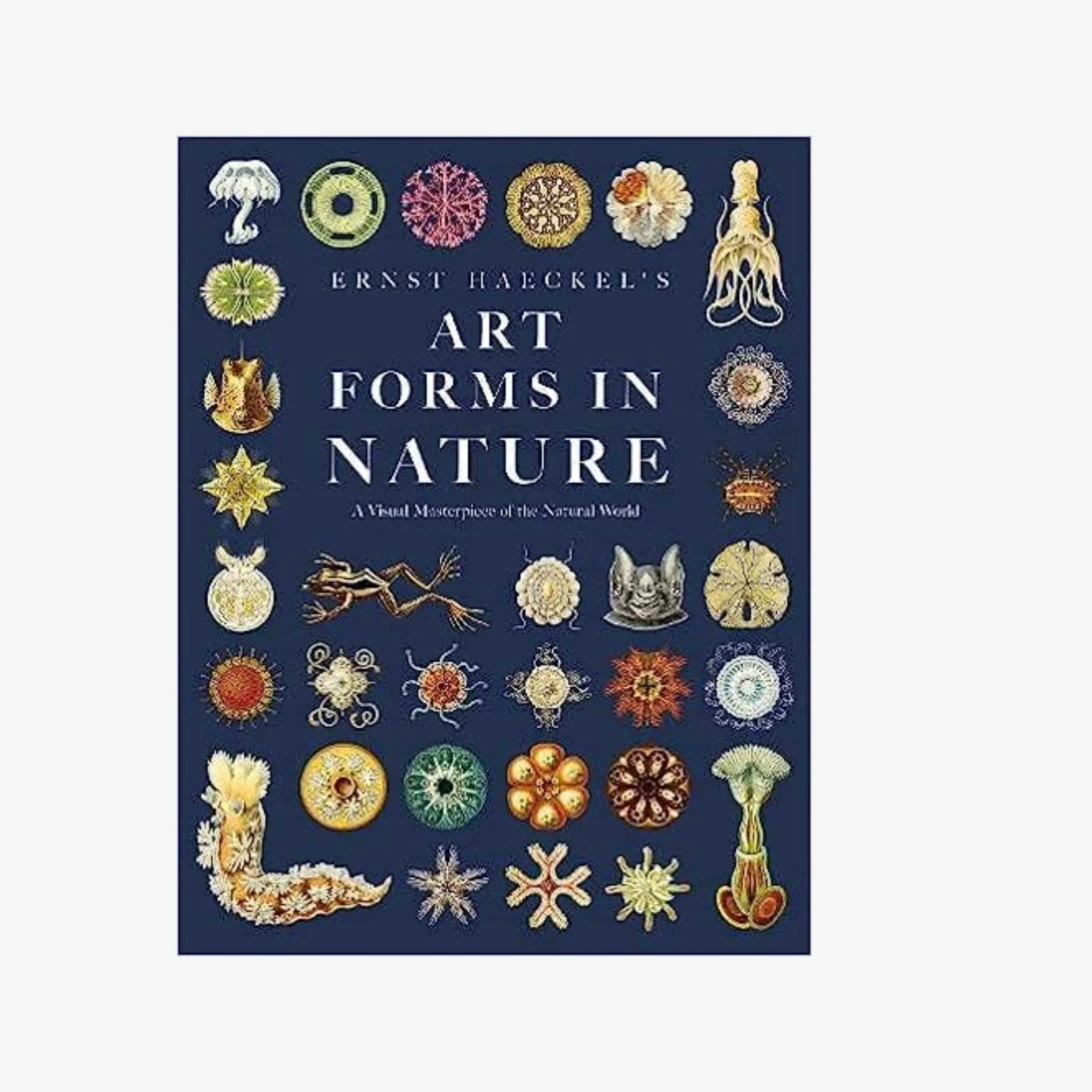 Art Forms in Nature.jpg