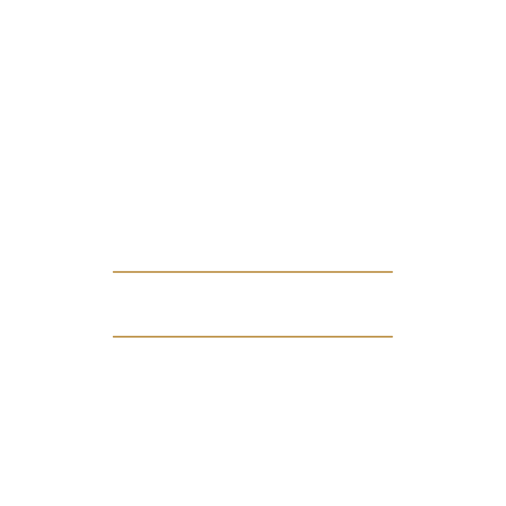 Aries Holdings