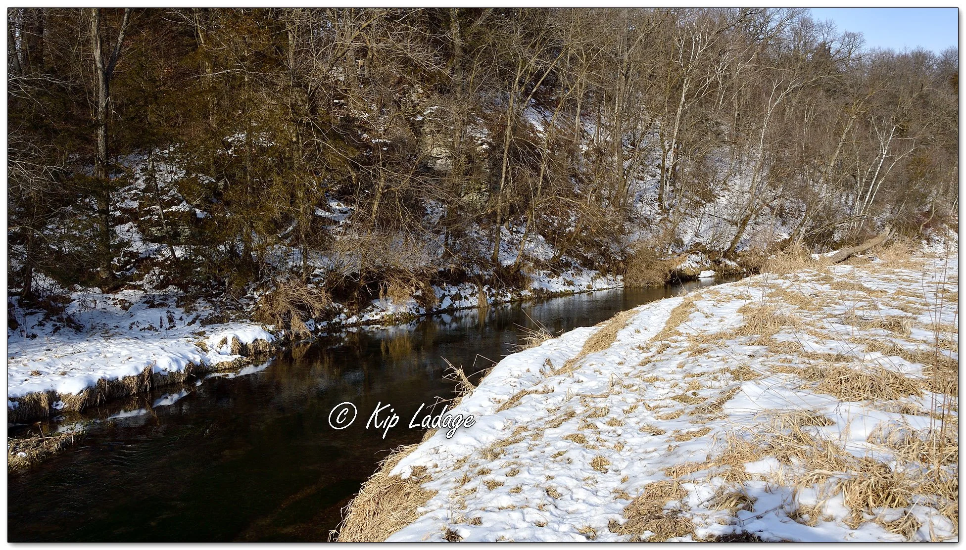 Coldwater Creek Wildlife Management Area - Image 1063283