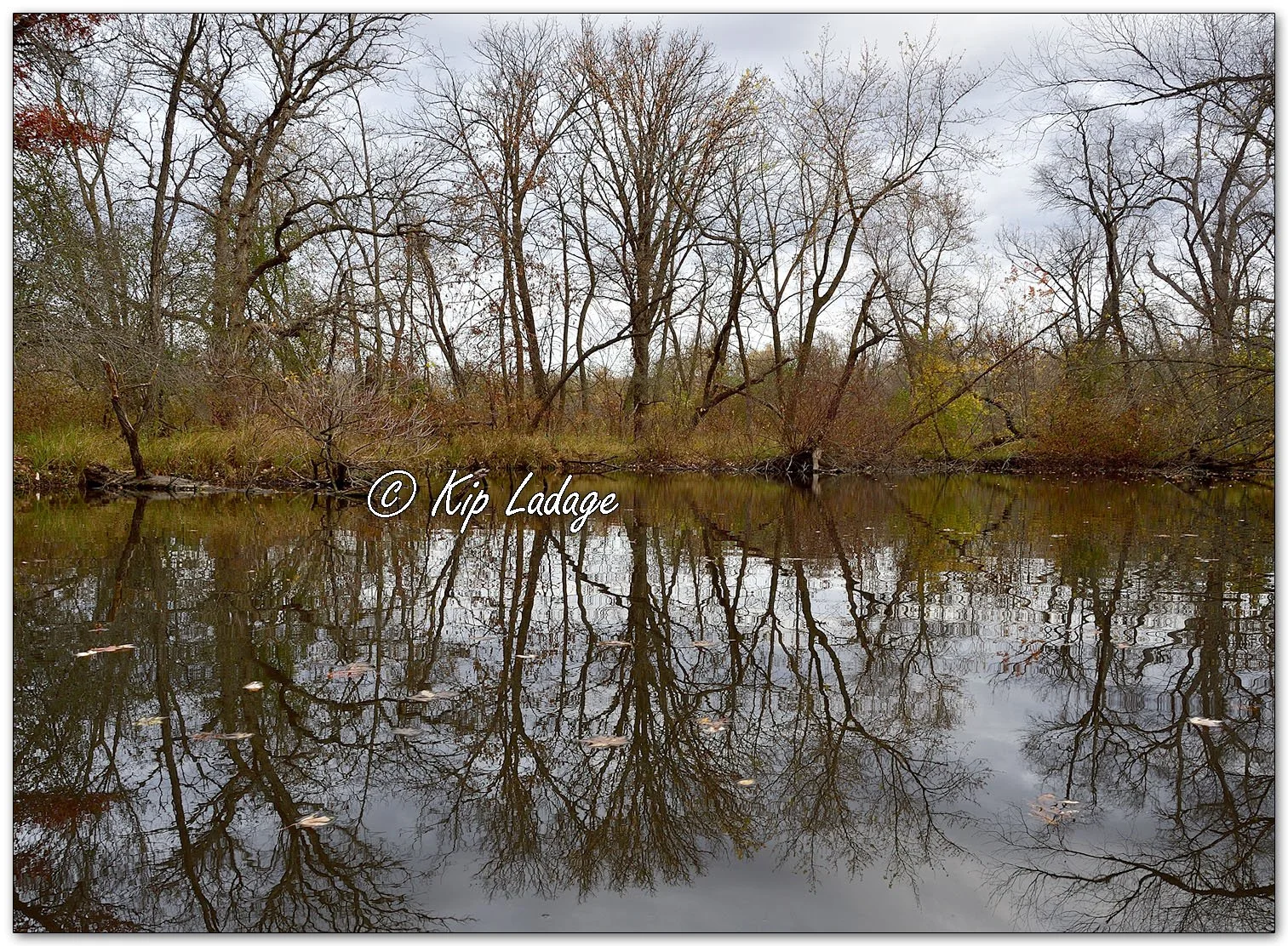 Reflections on Water - Image 1168306