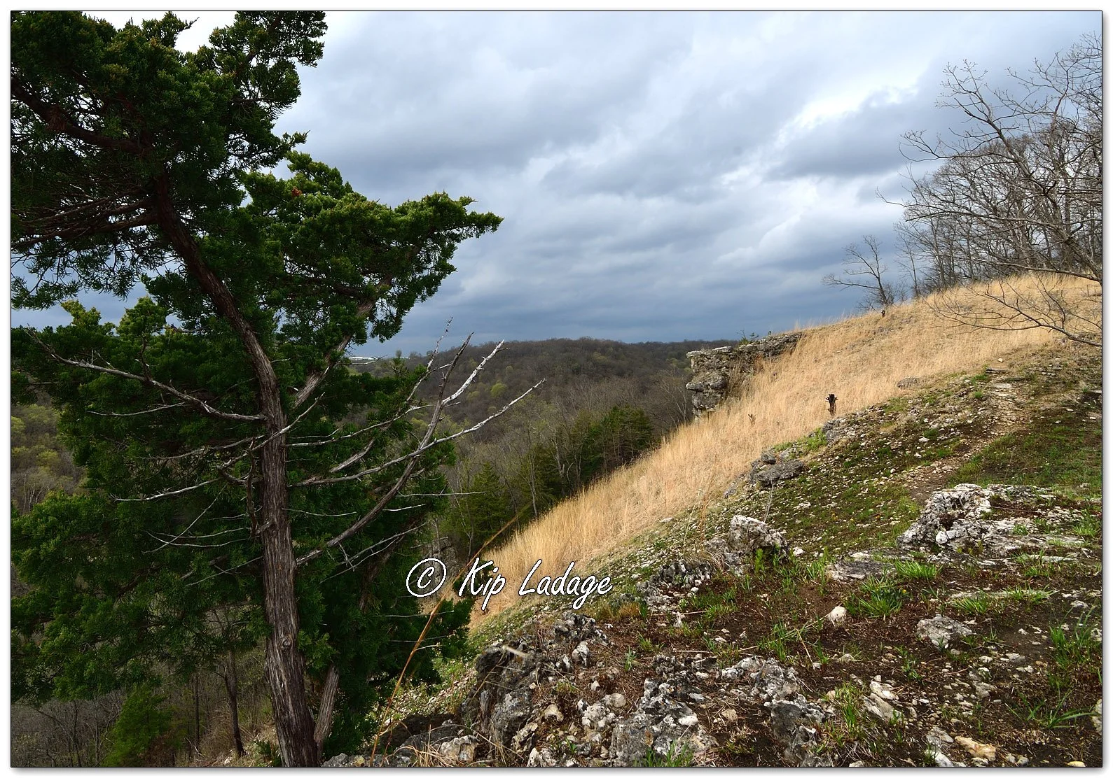 View at Yellow River State Forest - Image 1090051