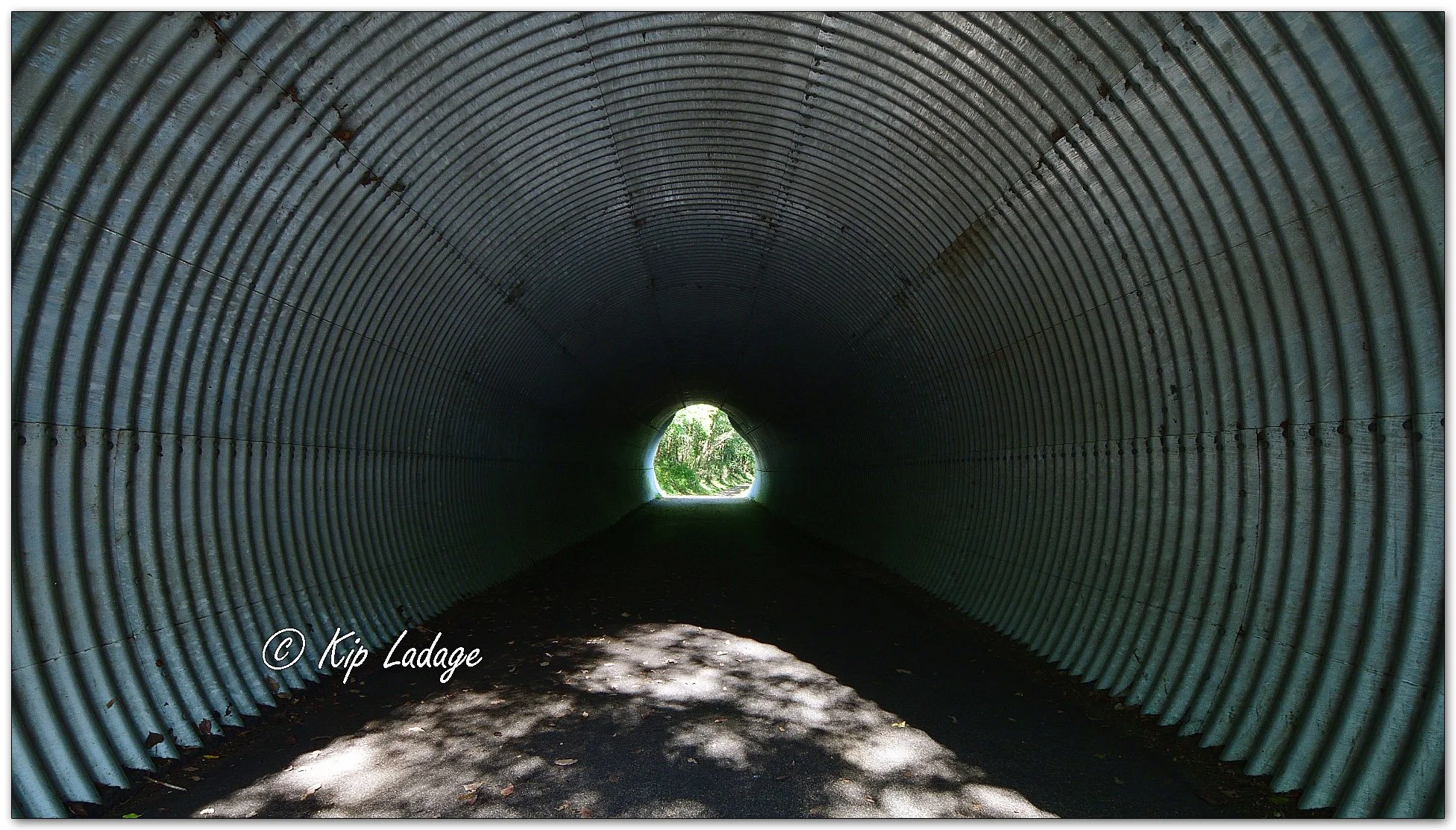 Waverly Rail Trail - Image 1143548