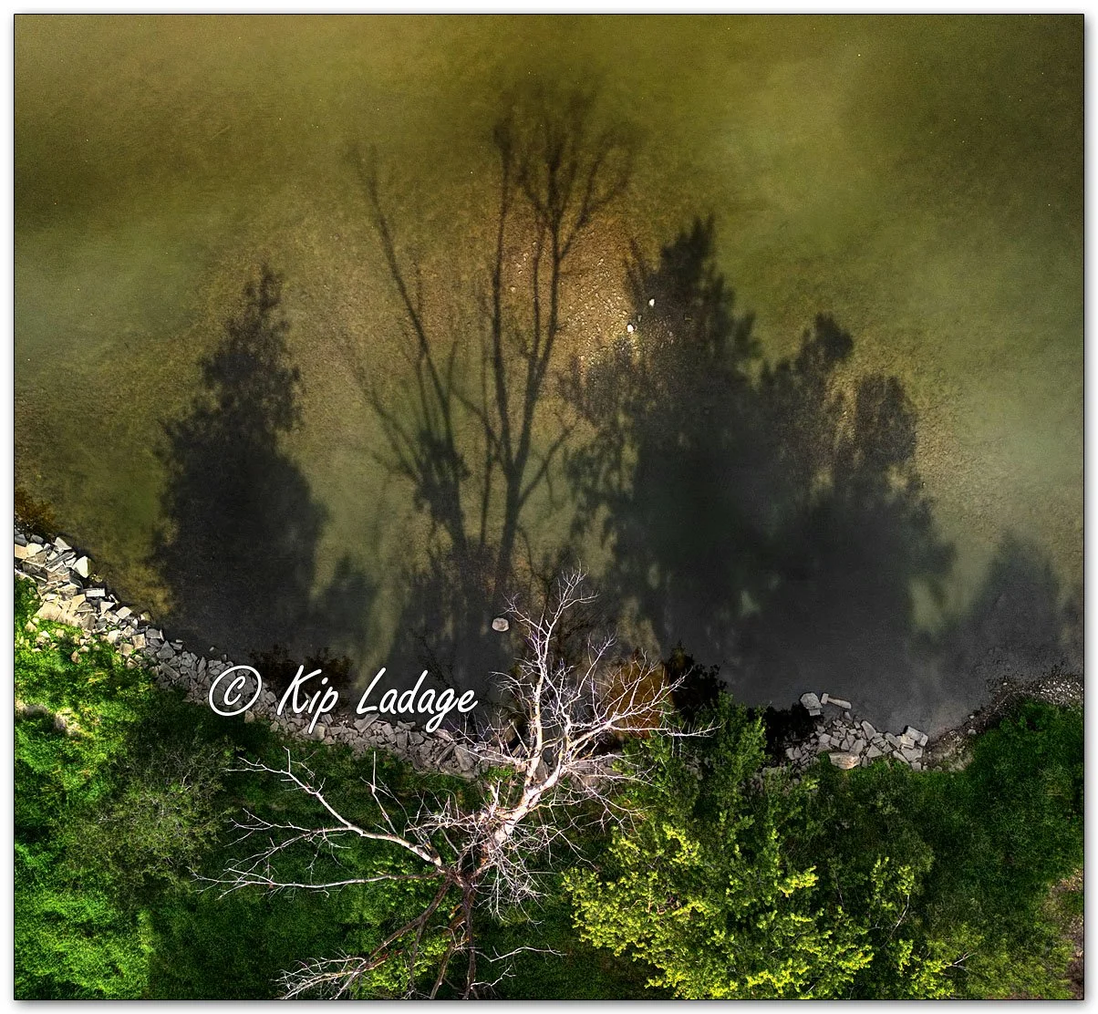 Kip’s Comments - August 27, 2024