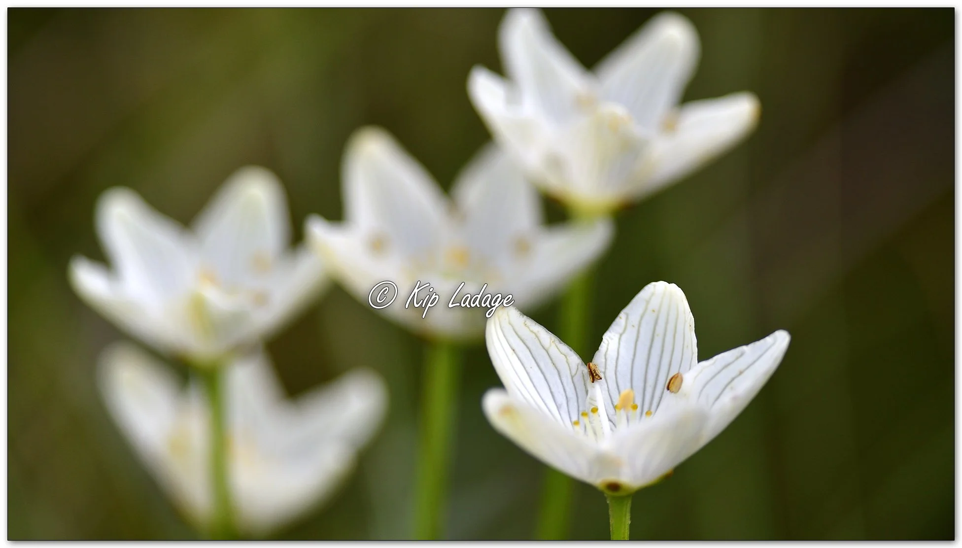 Kip’s Comments - August 28, 2024