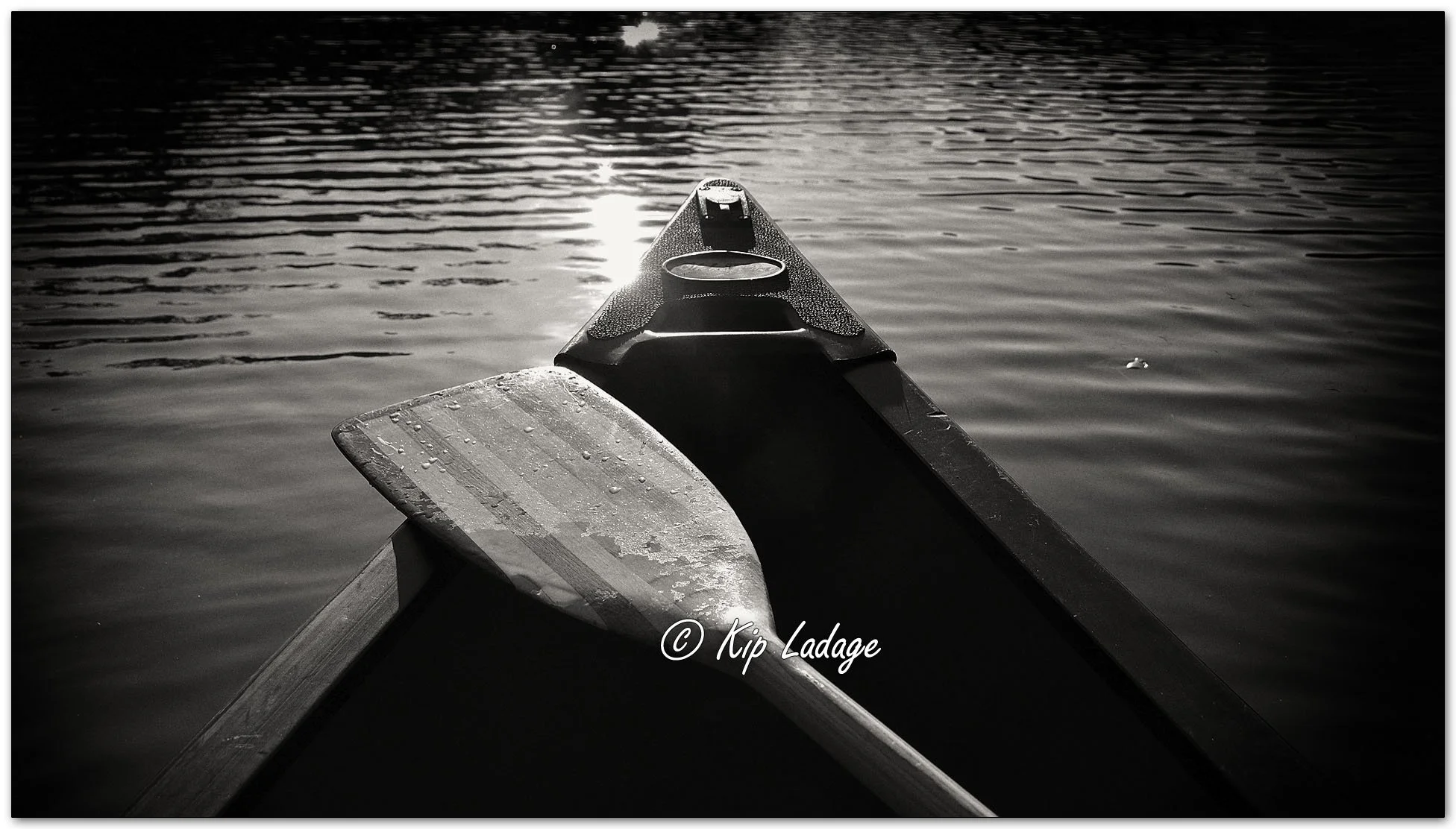 Kip’s Comments - September 1, 2024