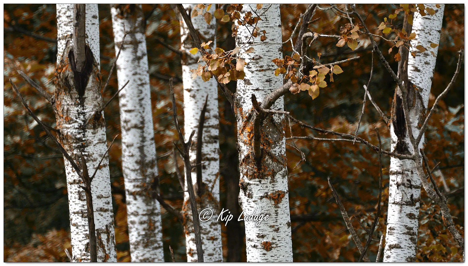 Kip’s Comments - September 10, 2024