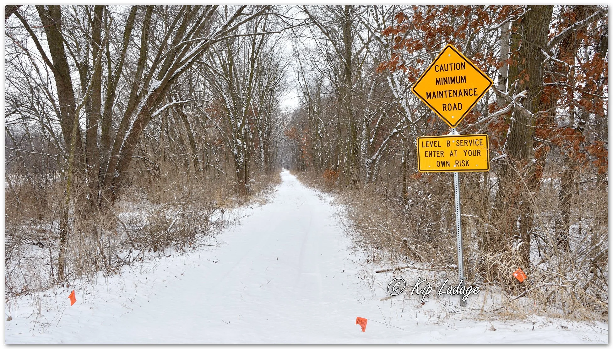 Kip’s Comments - January 21, 2026