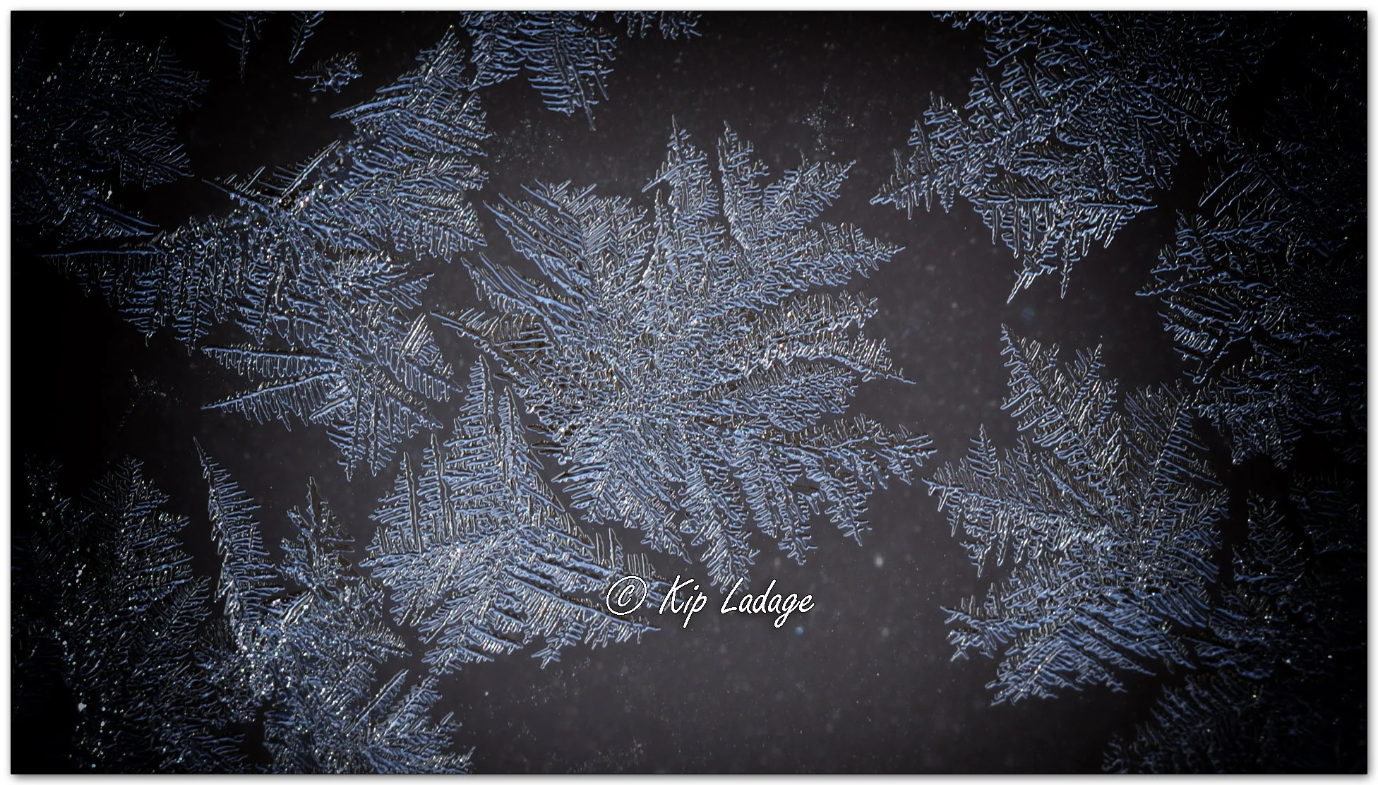 Kip’s Comments - January 27, 2026