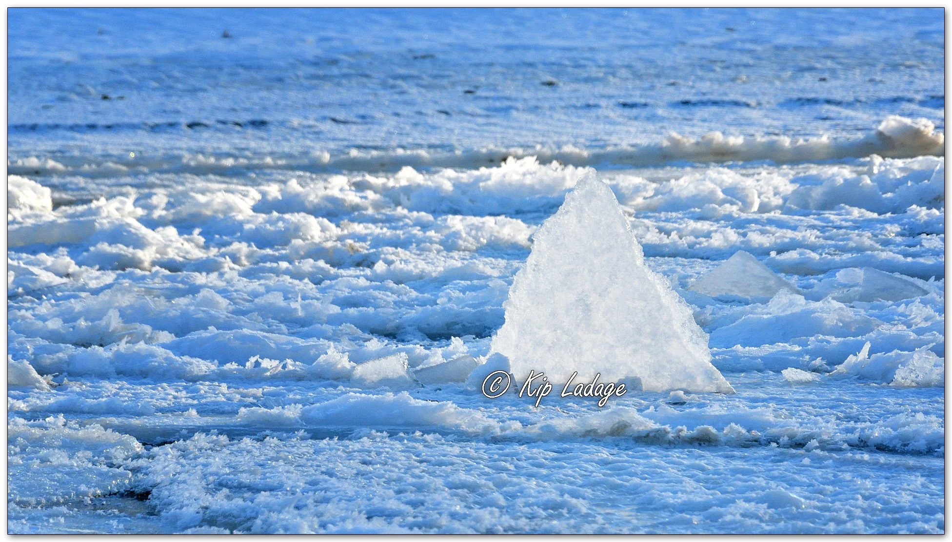 Kip’s Comments - January 28, 2026