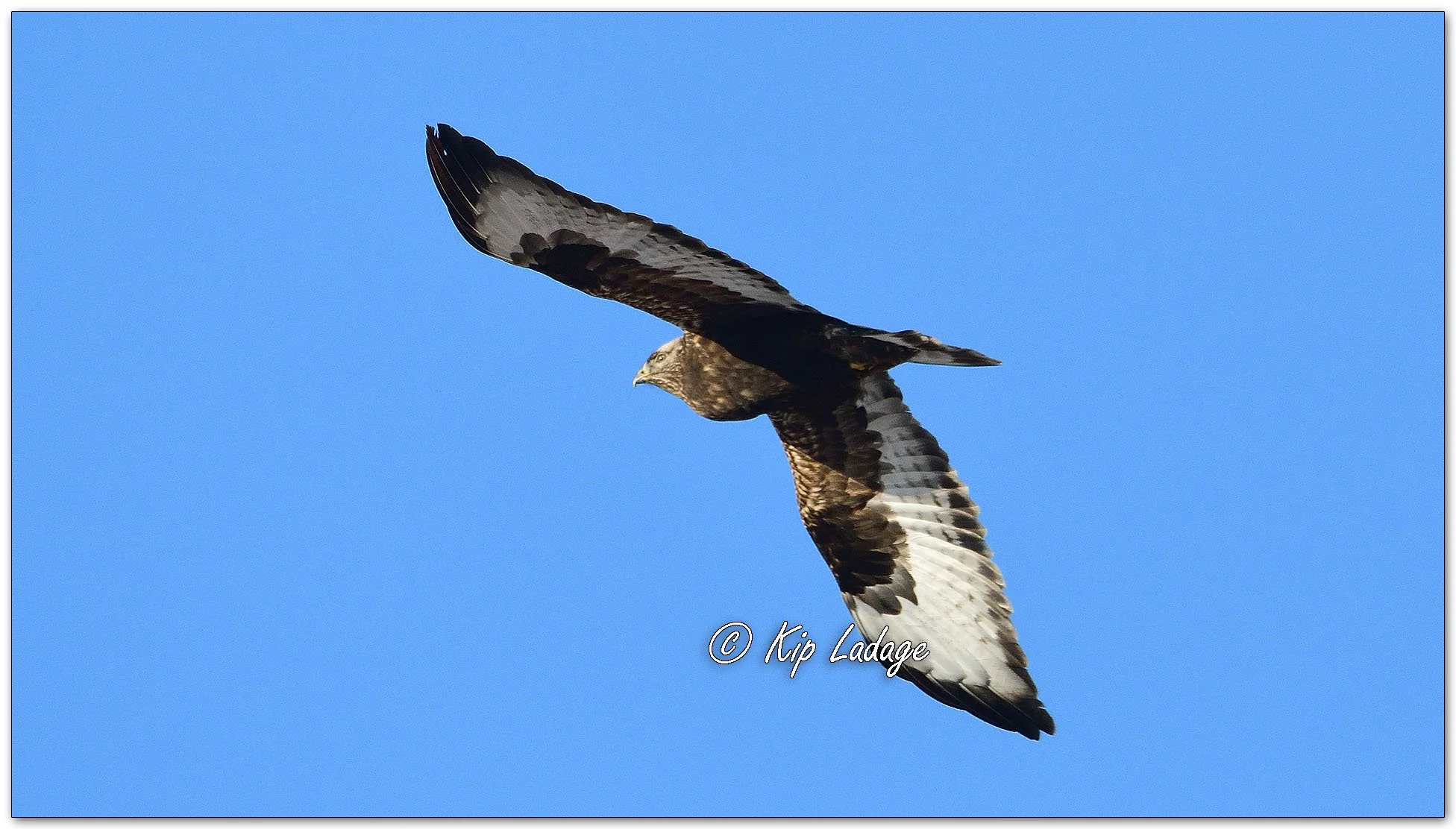 Kip’s Comments - January 30, 2026