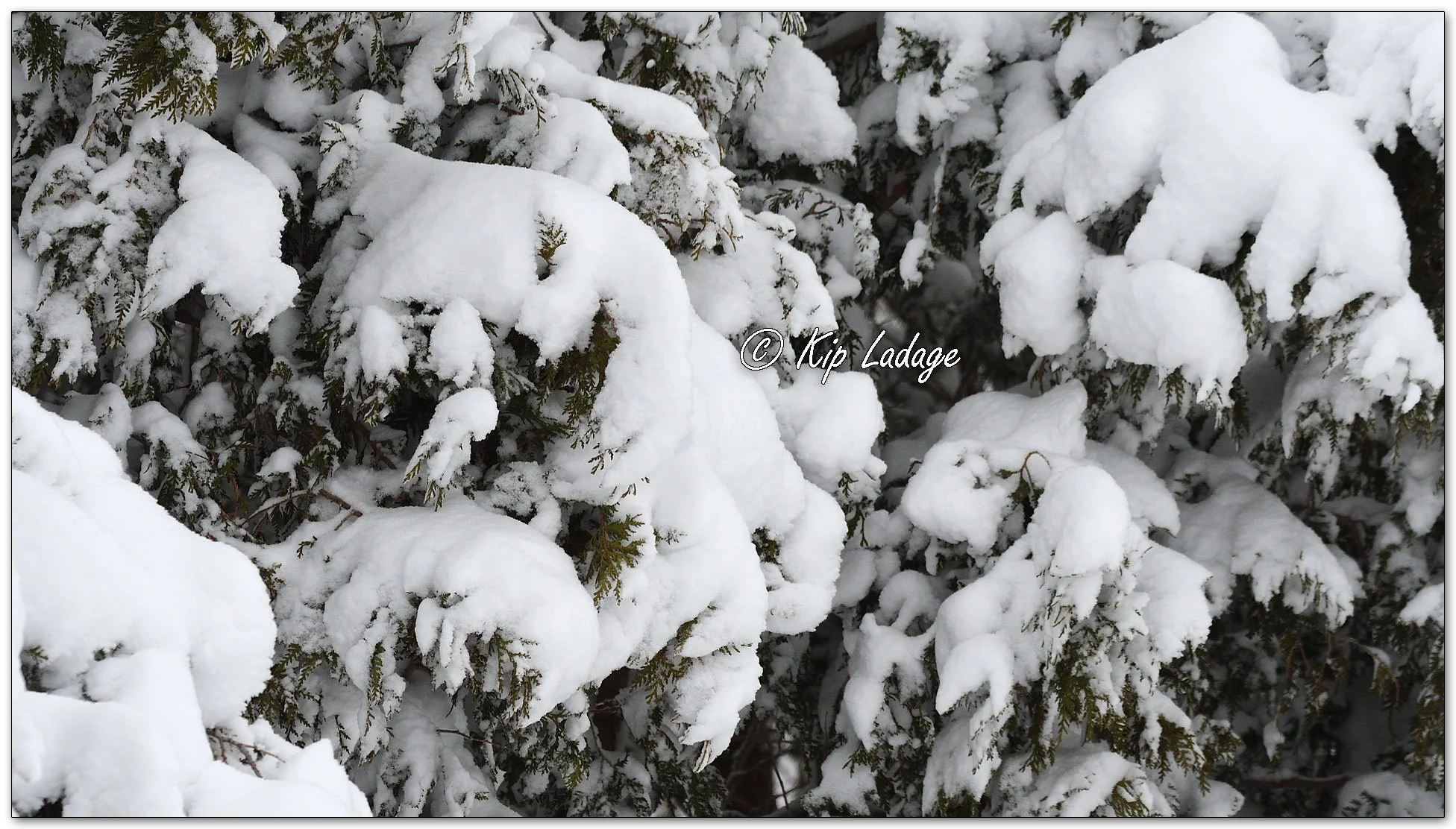 Kip’s Comments - February 20, 2026