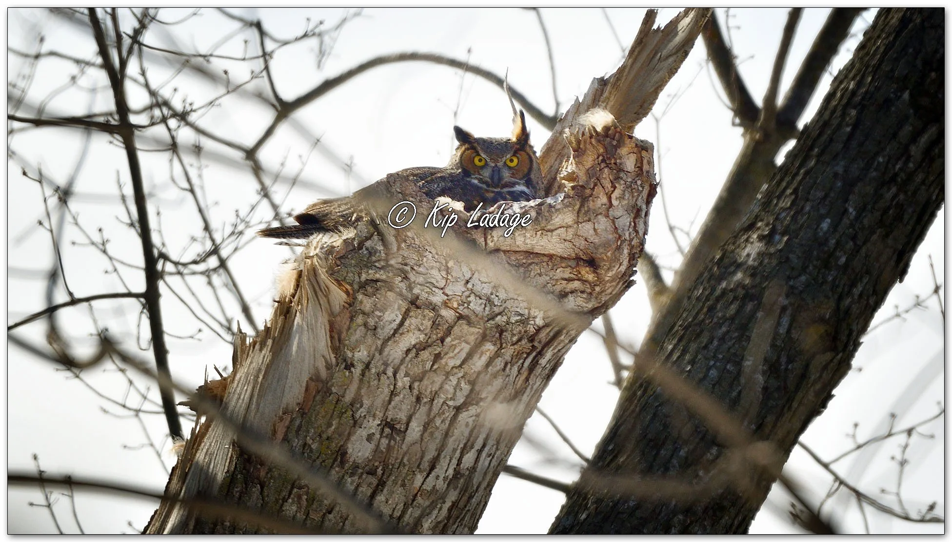 Kip’s Comments - February 24, 2026