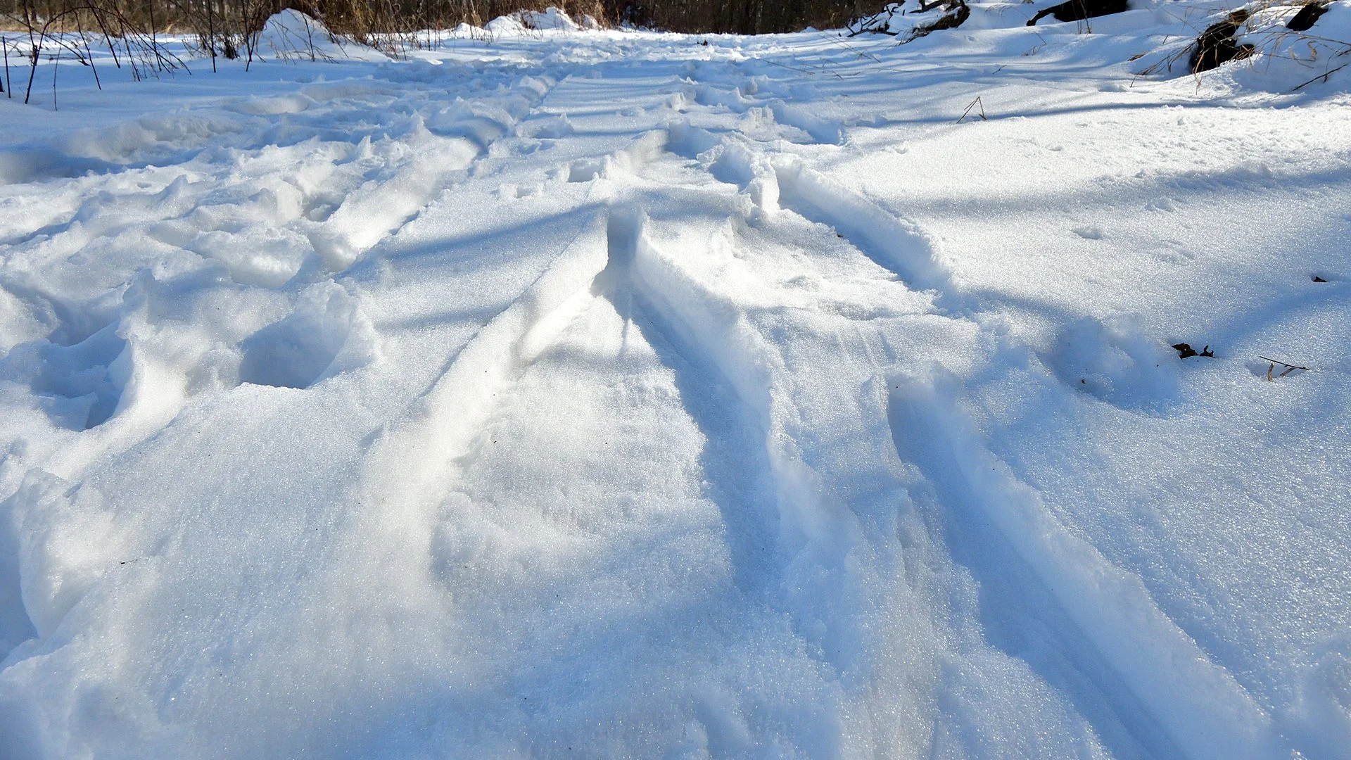 Kip’s Comments - February 26, 2026