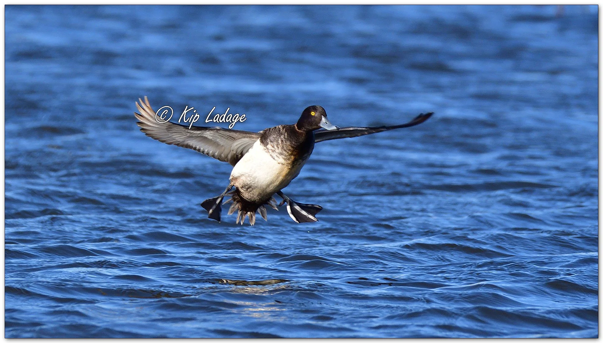 Kip’s Comments - March 11, 2026