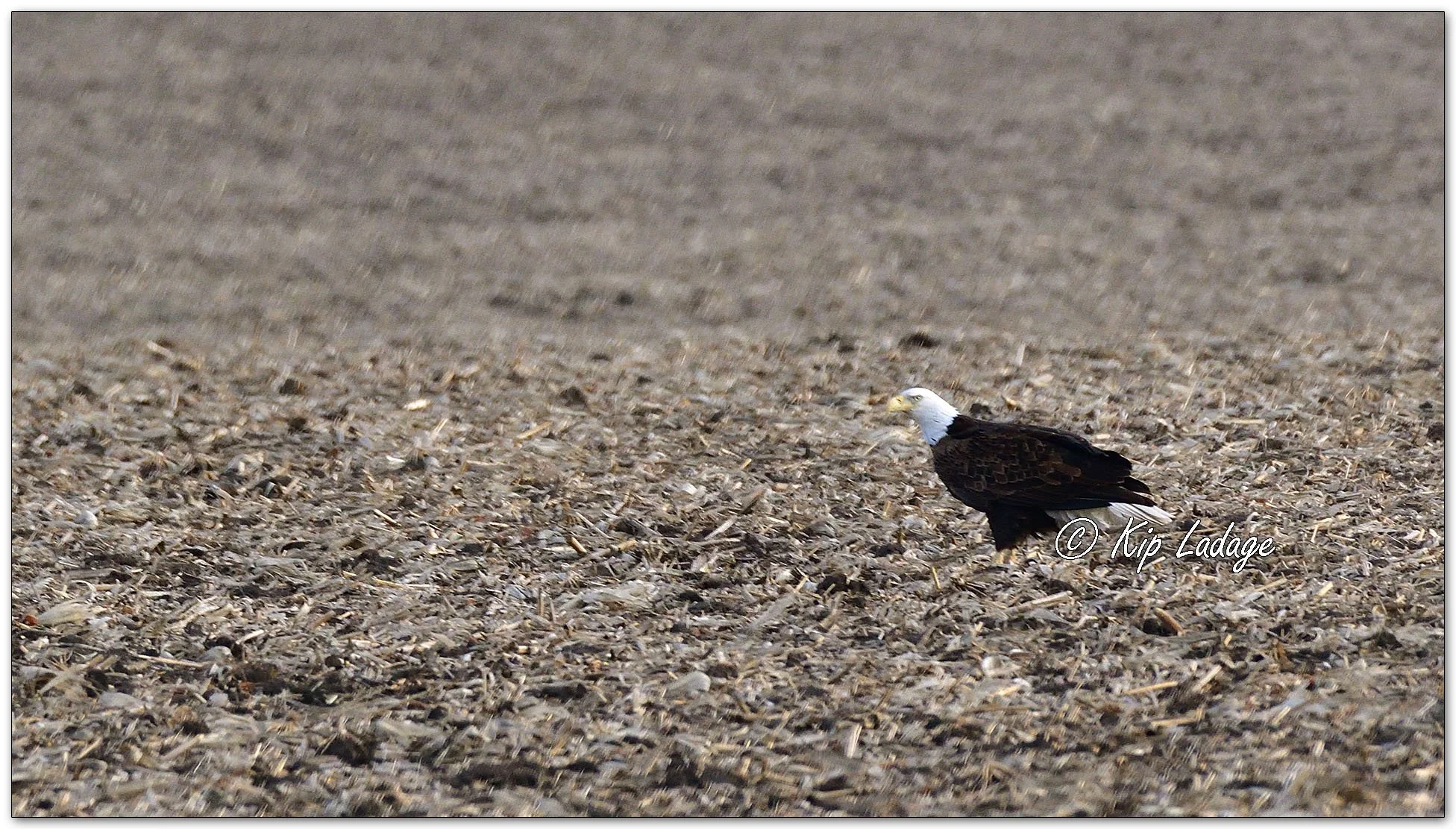 Kip’s Comments - March 13, 2026