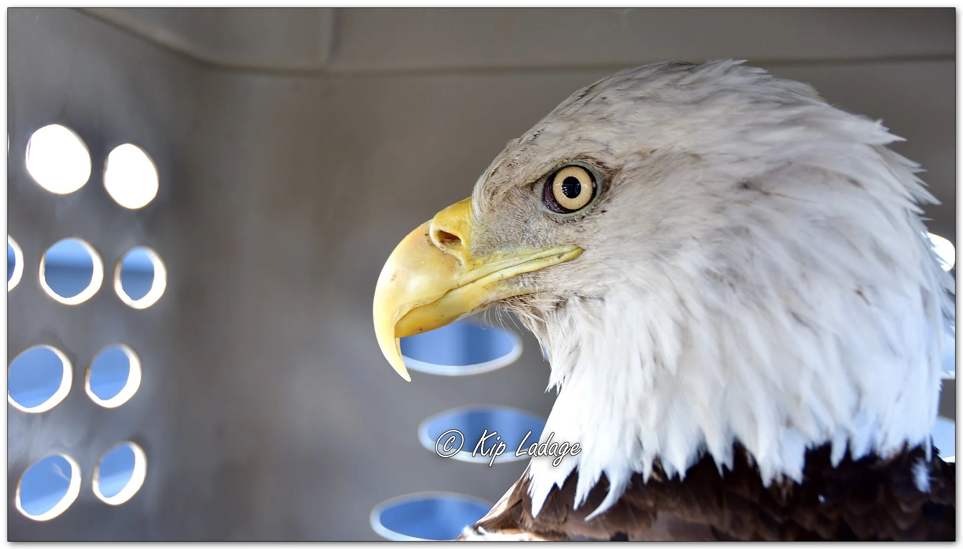 Kip’s Comments - March 16, 2026