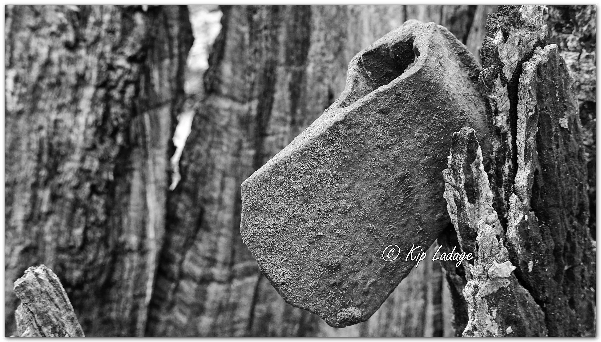 Kip’s Comments - March 31, 2026