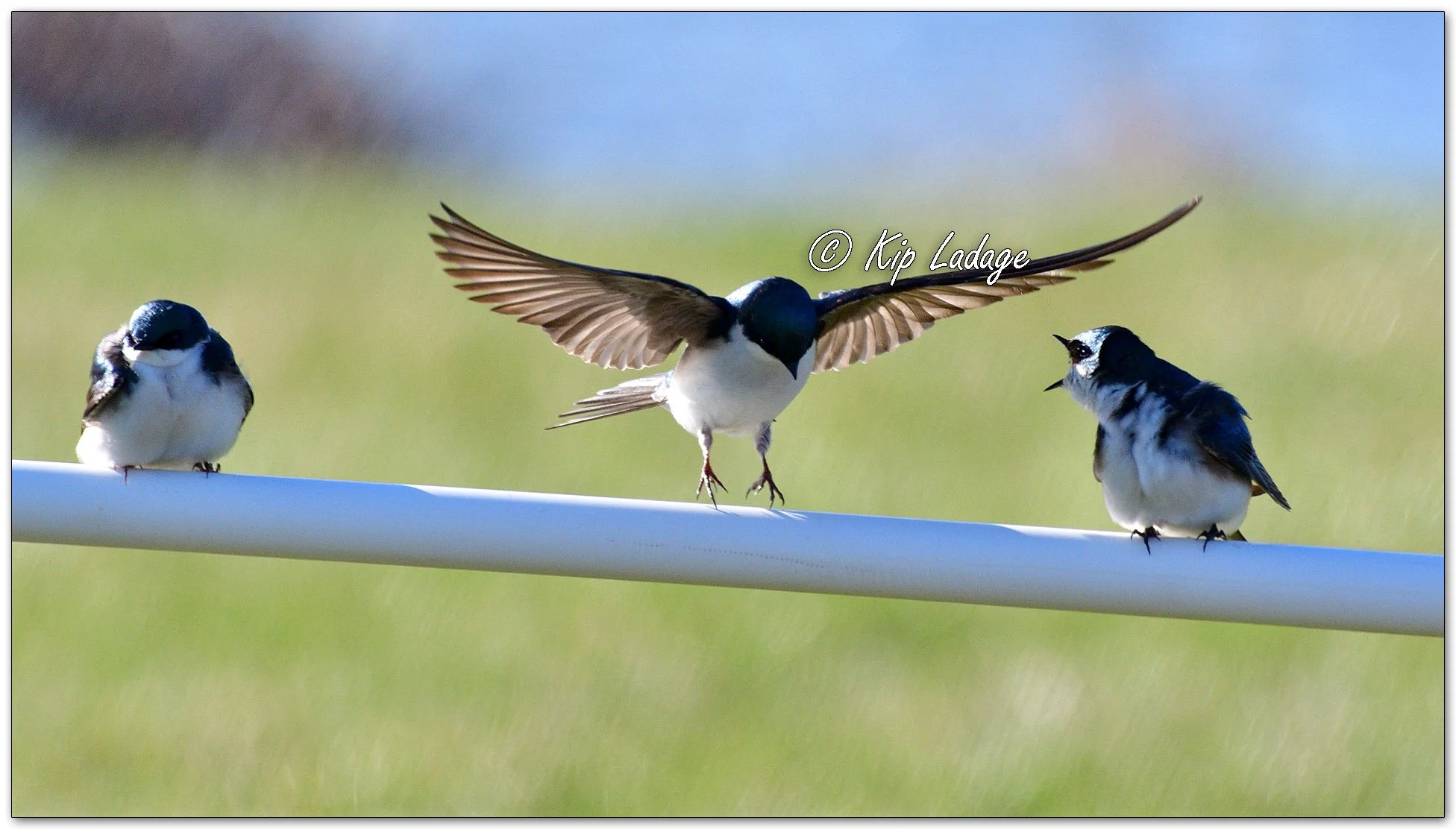 Kip’s Comments - April 5, 2026