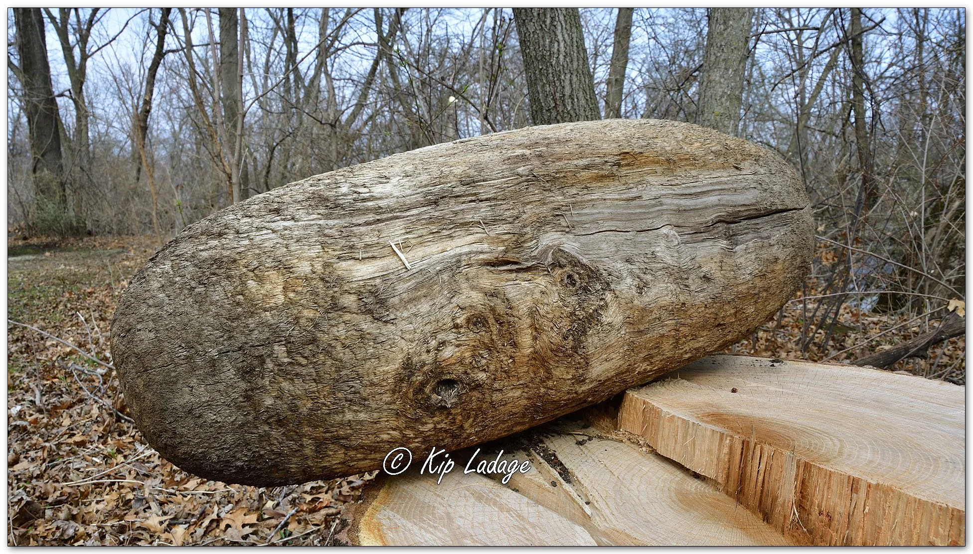 Kip’s Comments - April 7, 2026