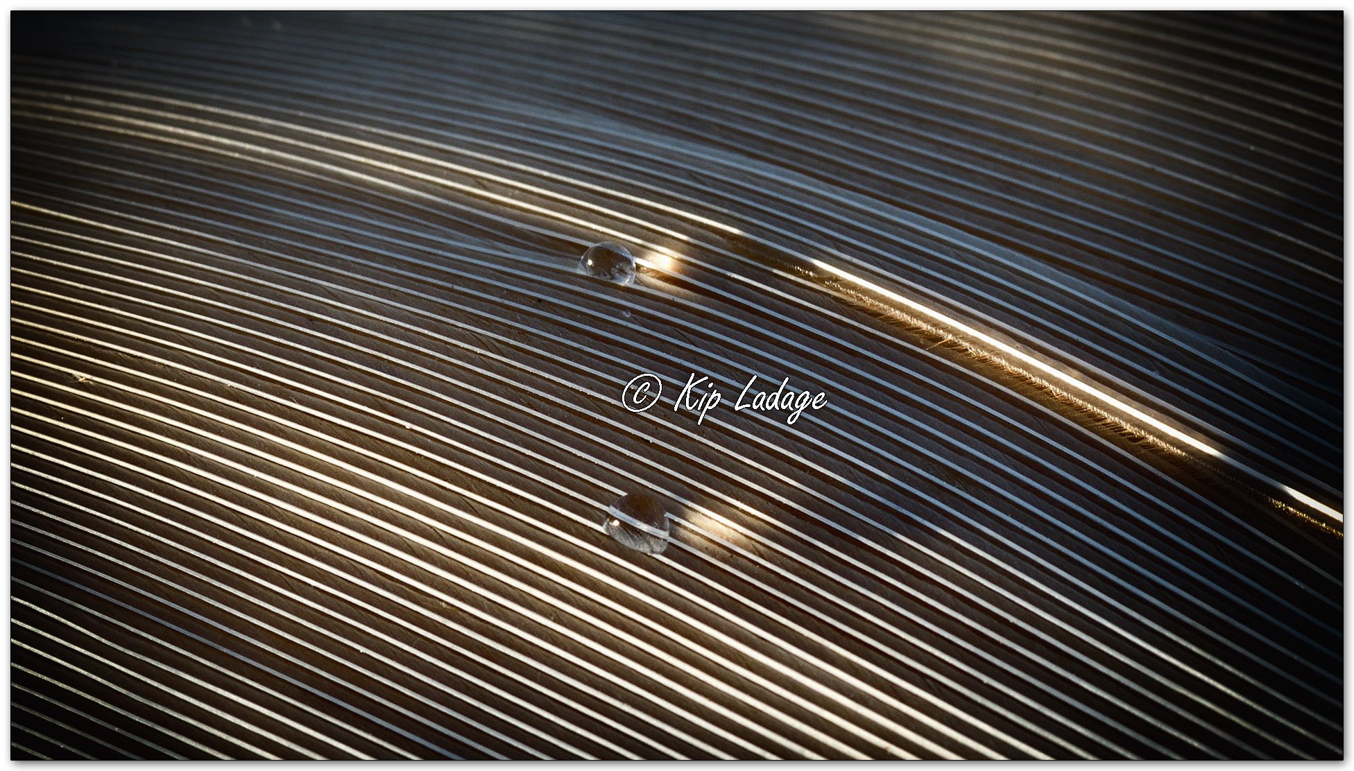 Kip’s Comments - April 9, 2026